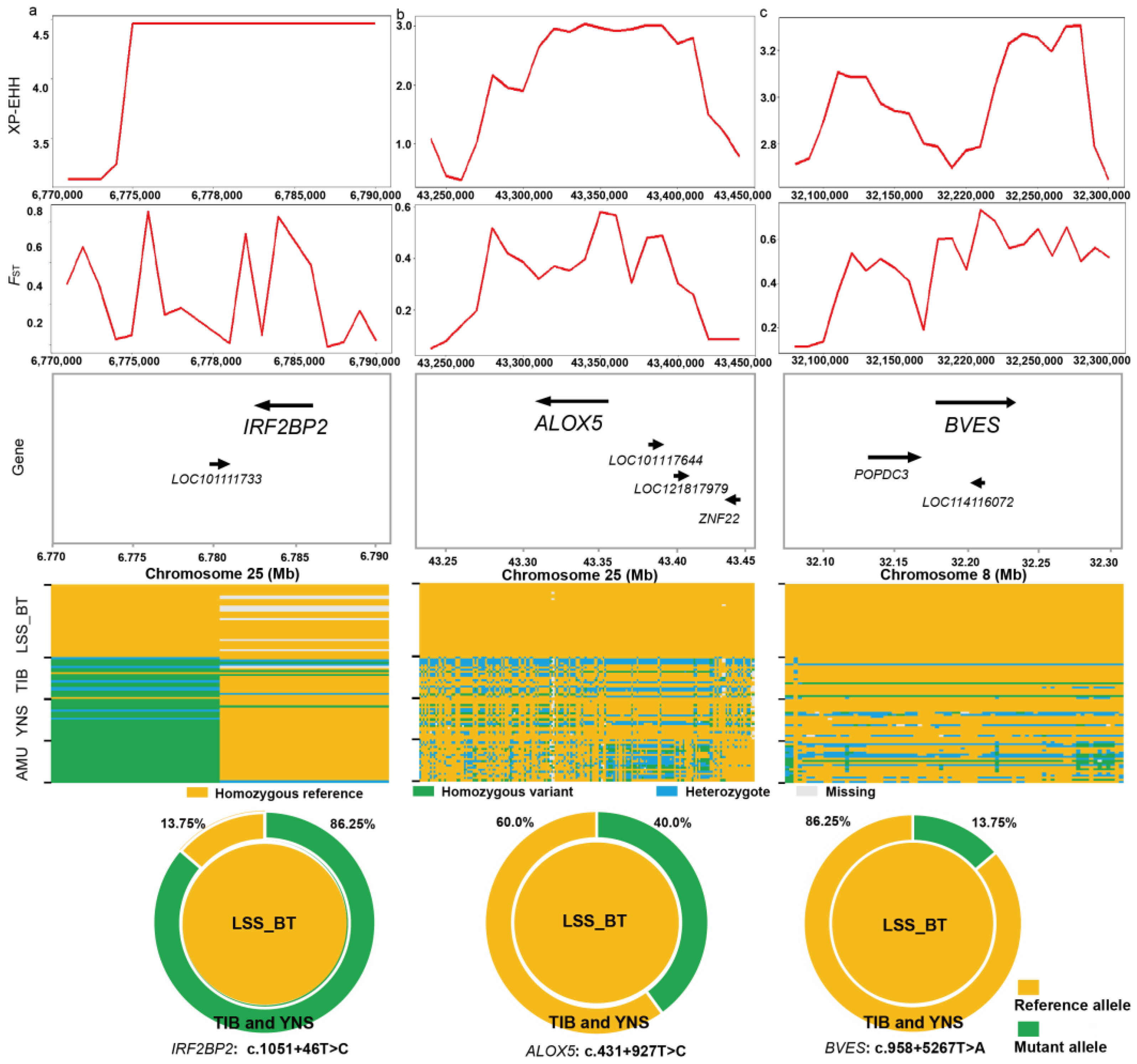 Animals 14 00444 g005