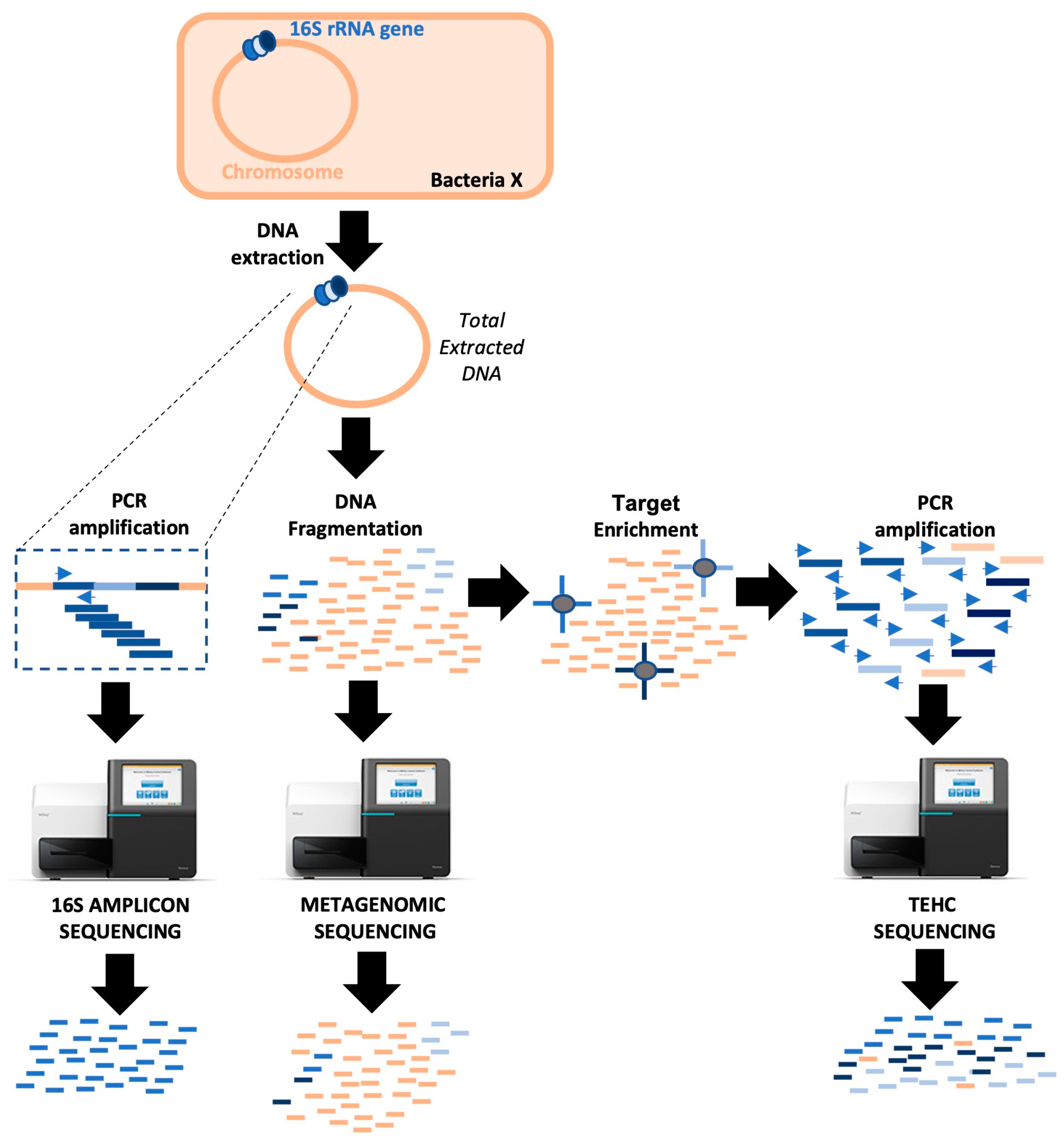 Animals 14 00445 g001