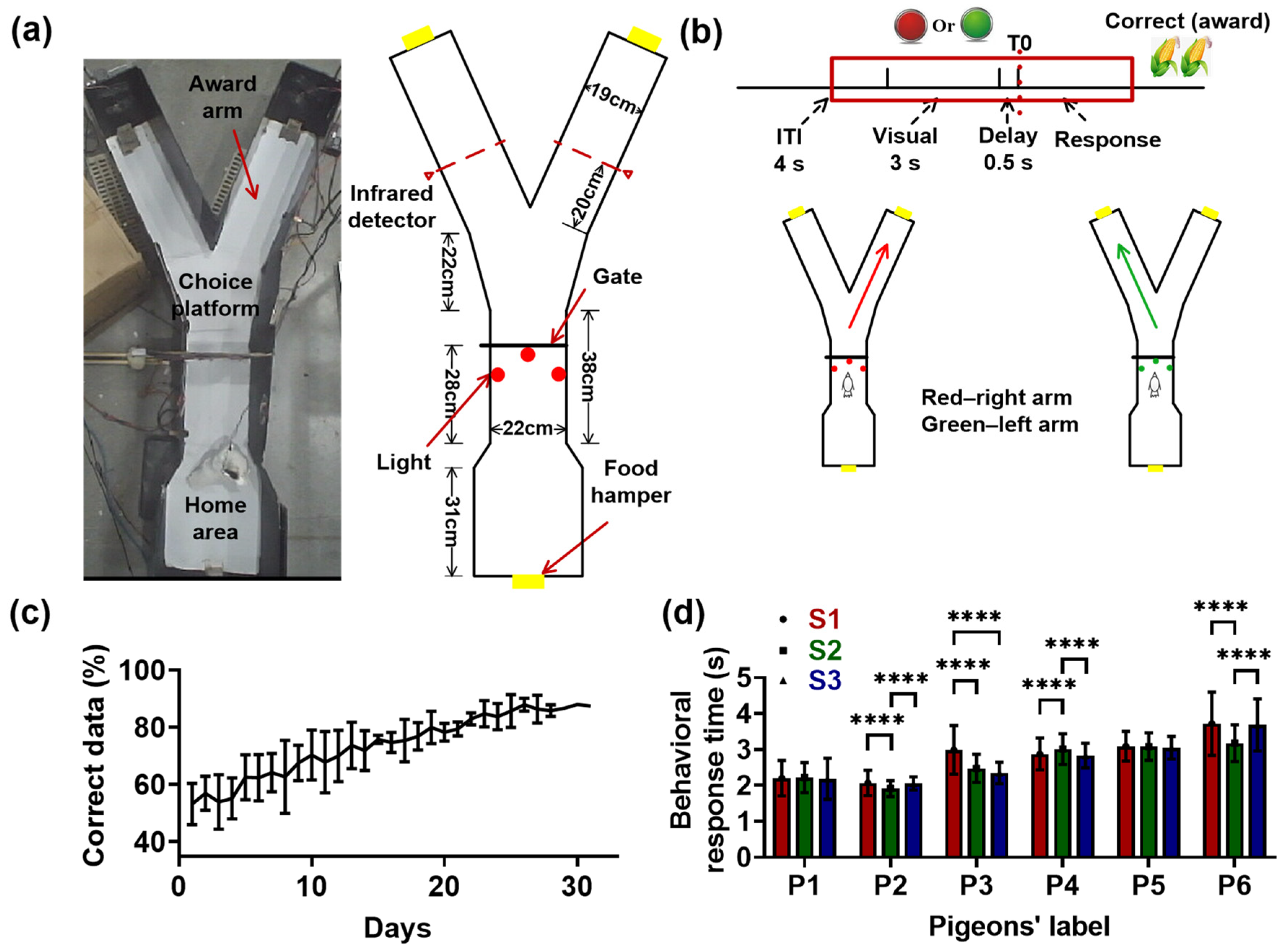 Animals 14 00456 g002