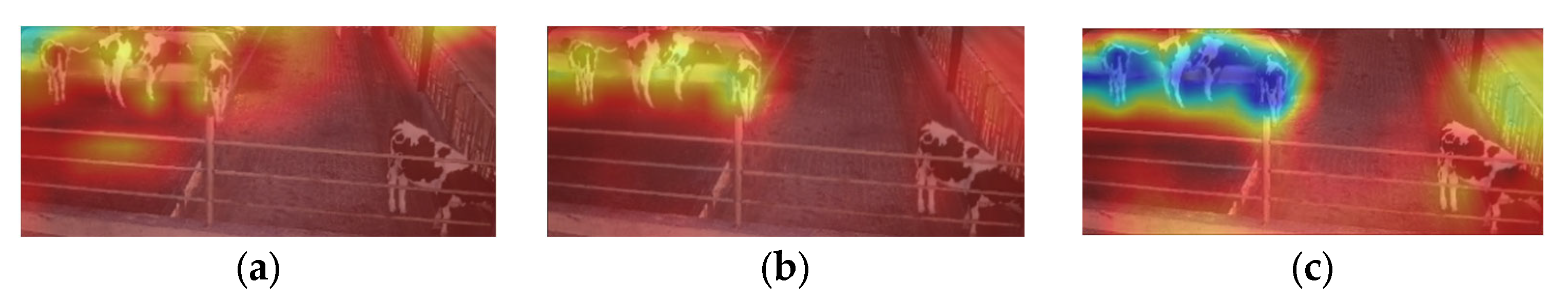 Animals 14 00458 g009