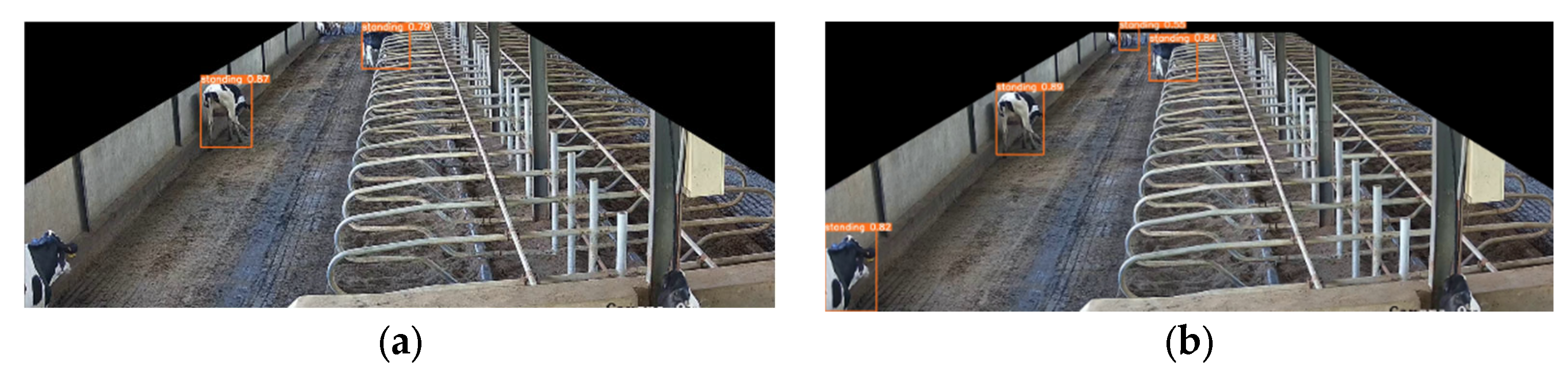 Animals 14 00458 g012