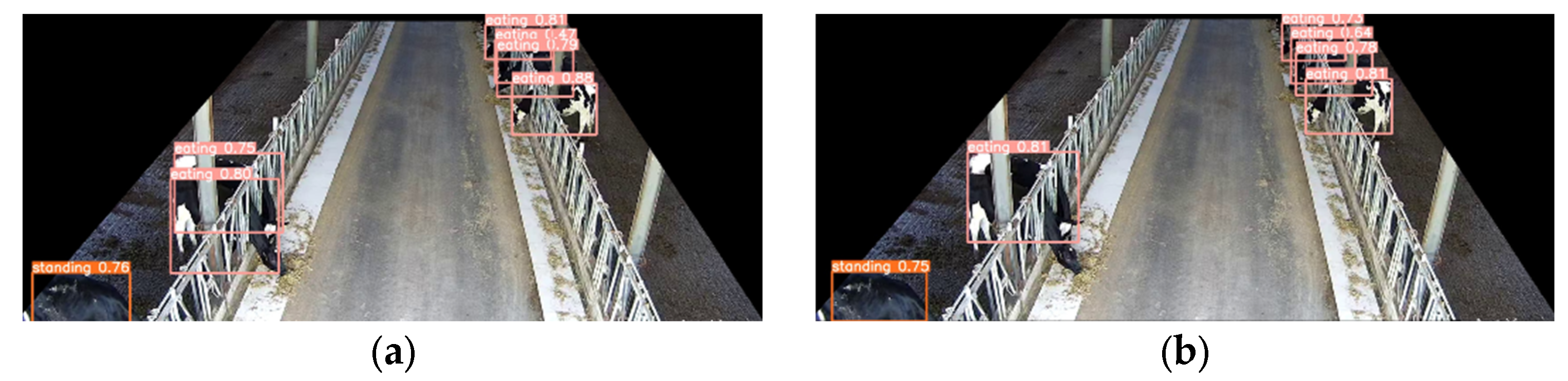 Animals 14 00458 g013