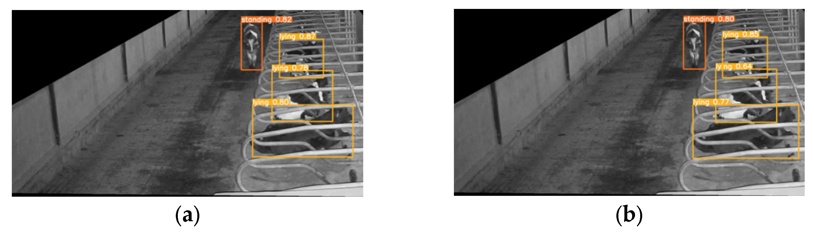 Animals 14 00458 g014