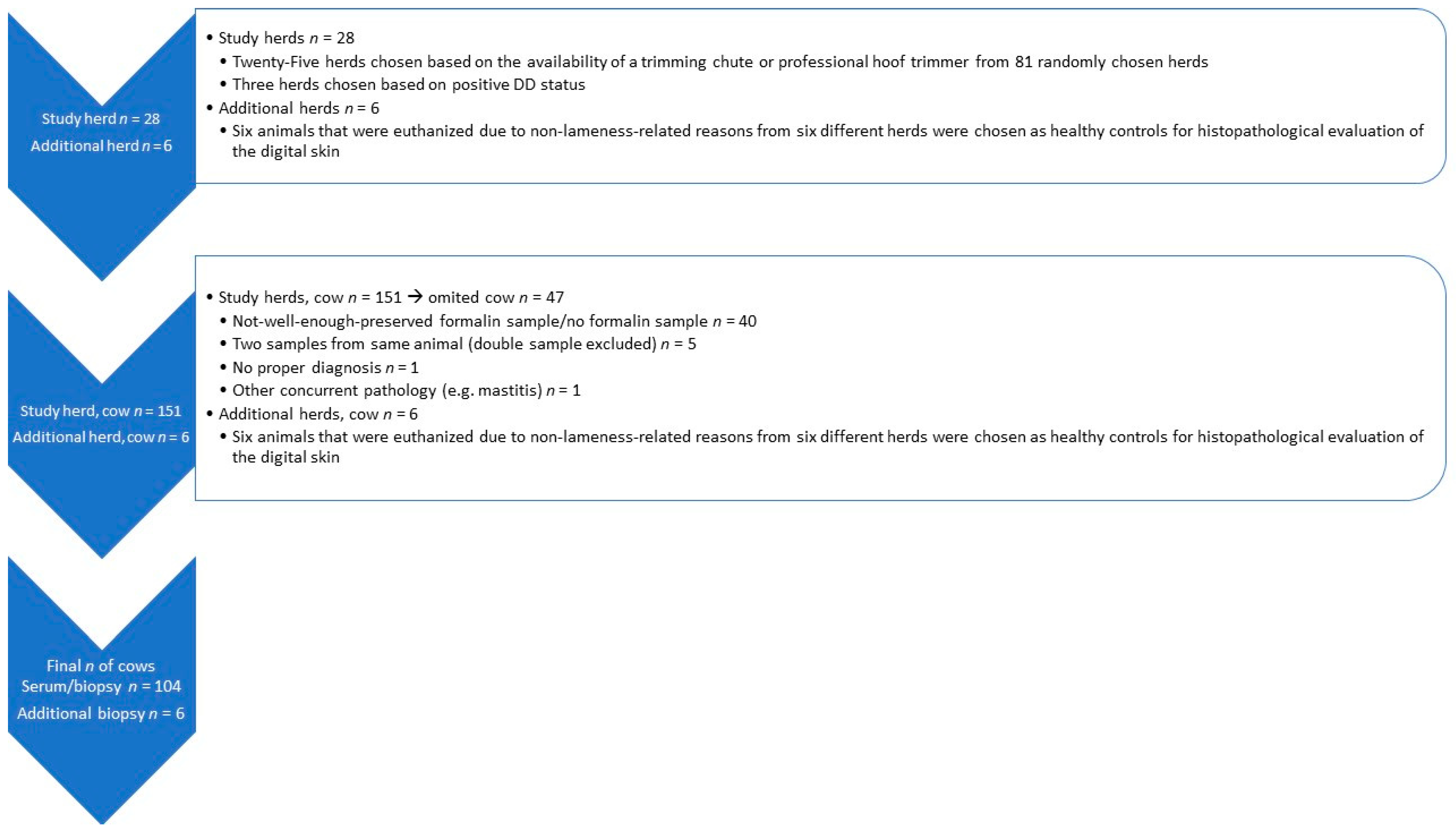 Animals 14 00461 g001