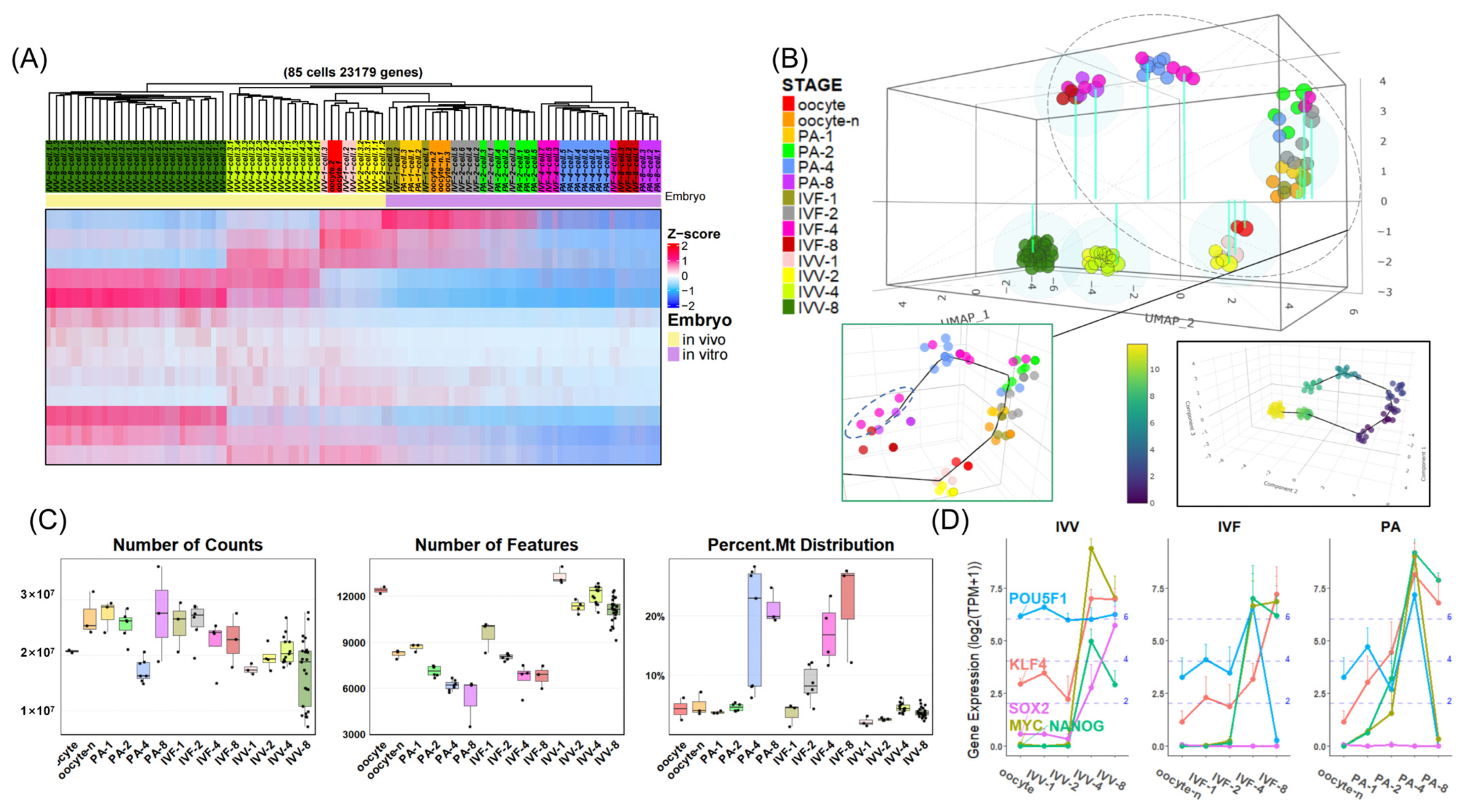 Animals 14 00465 g001