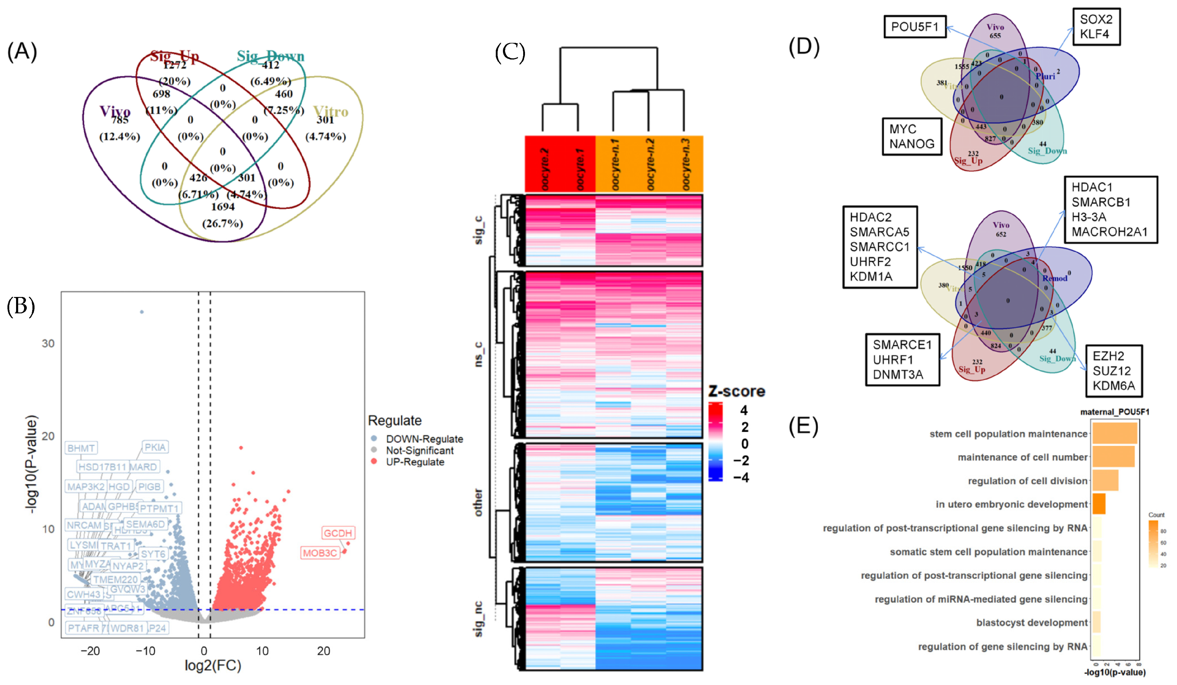 Animals 14 00465 g002