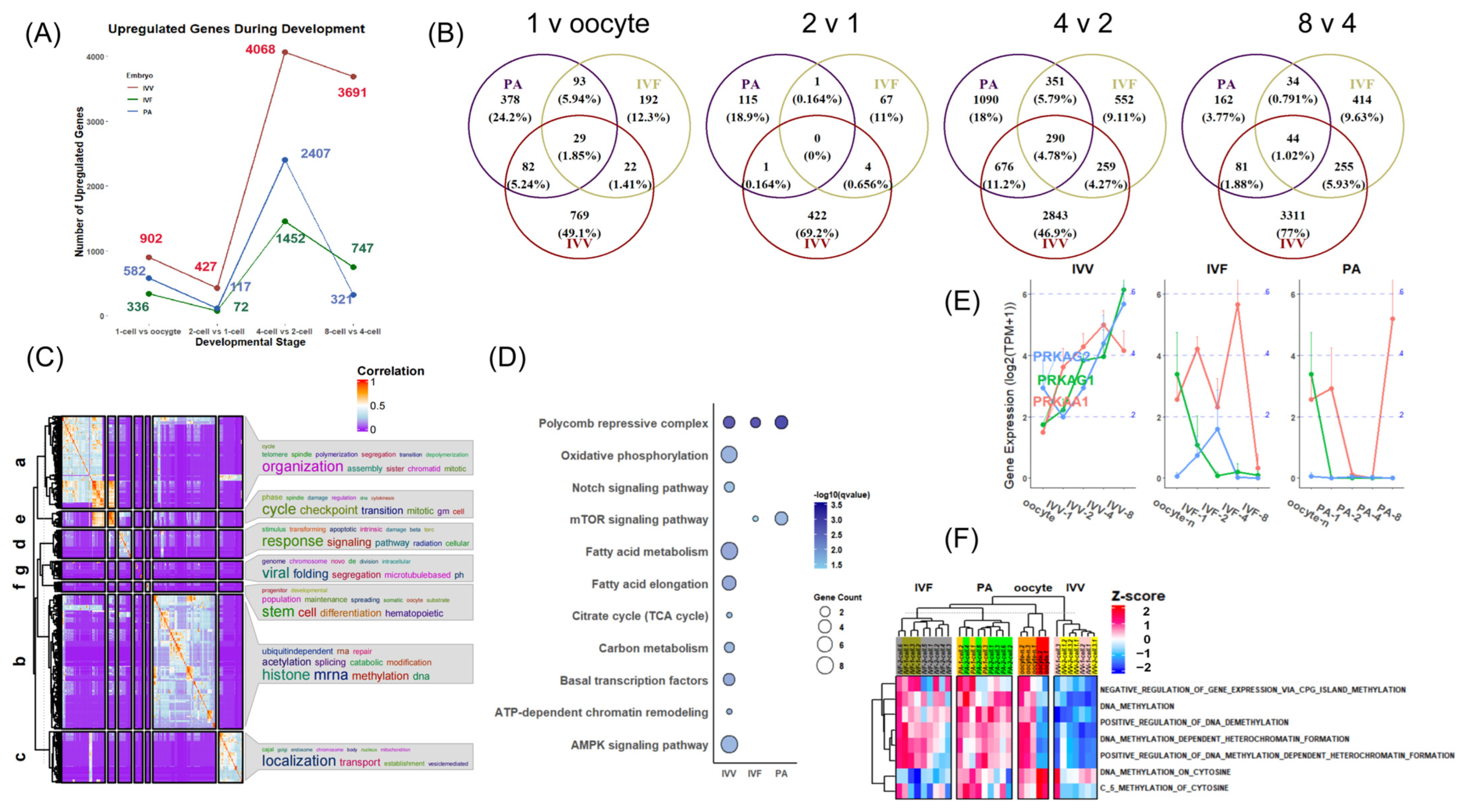 Animals 14 00465 g004