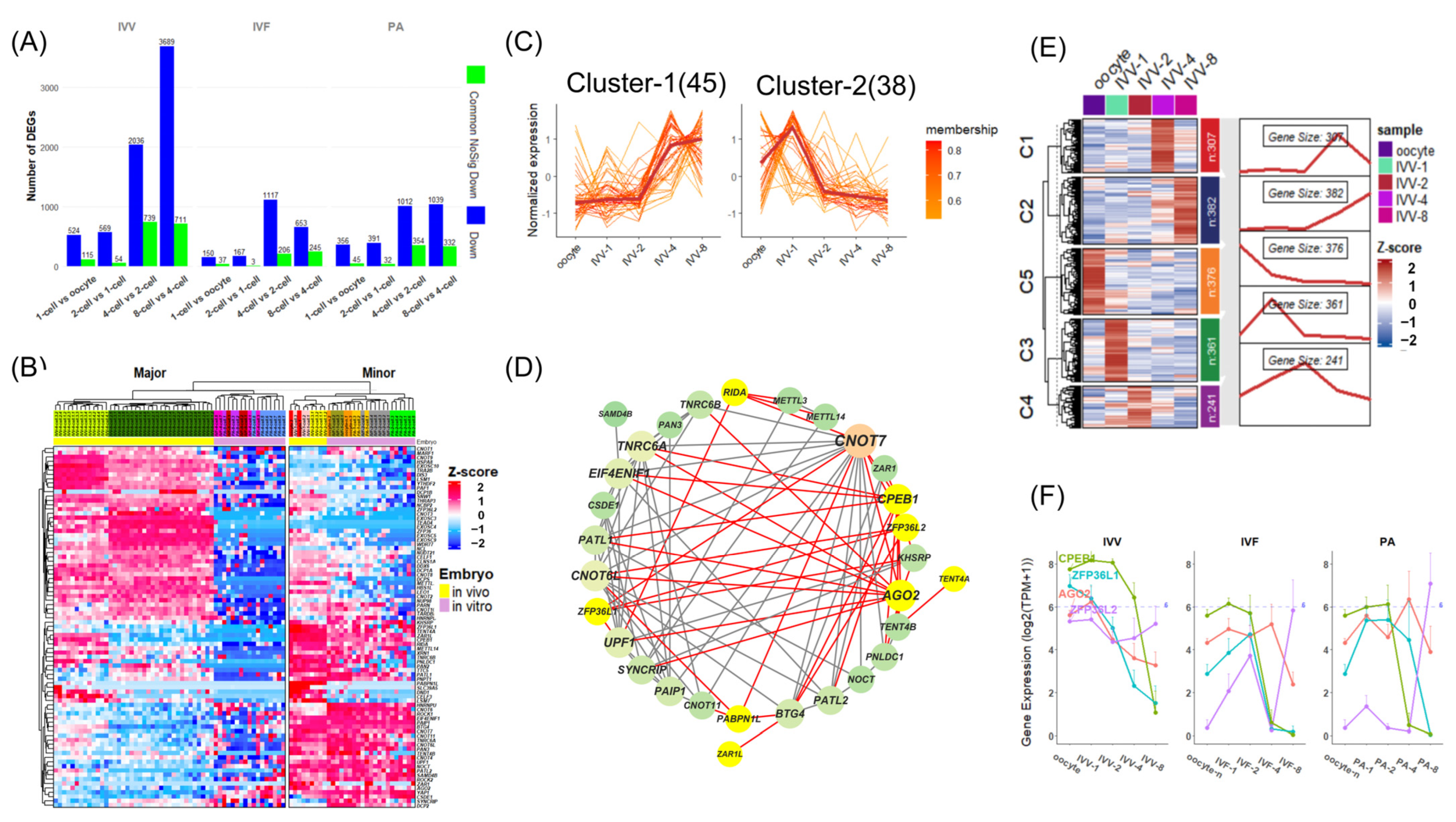 Animals 14 00465 g006