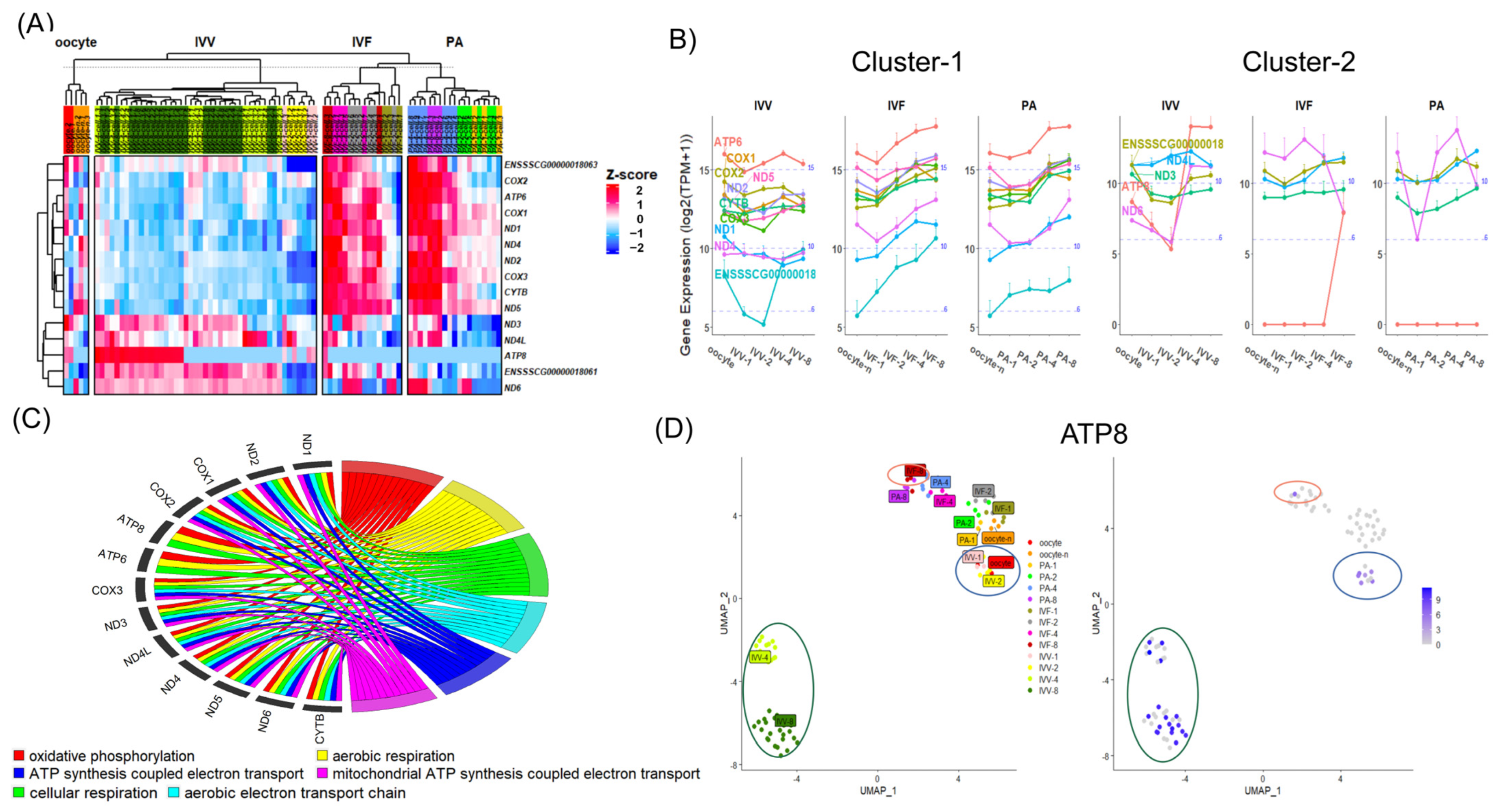 Animals 14 00465 g007
