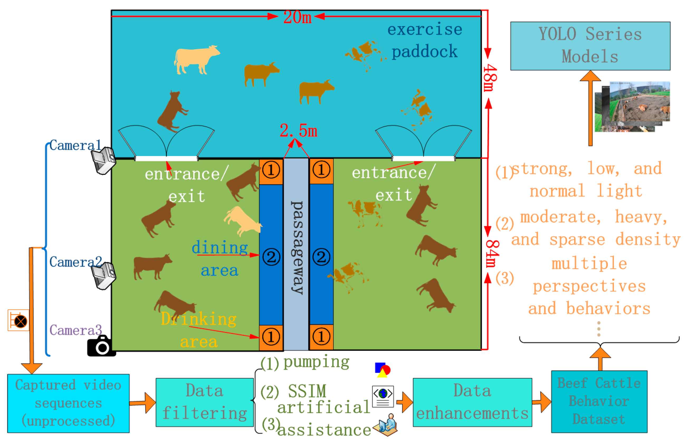 Animals 14 00466 g002