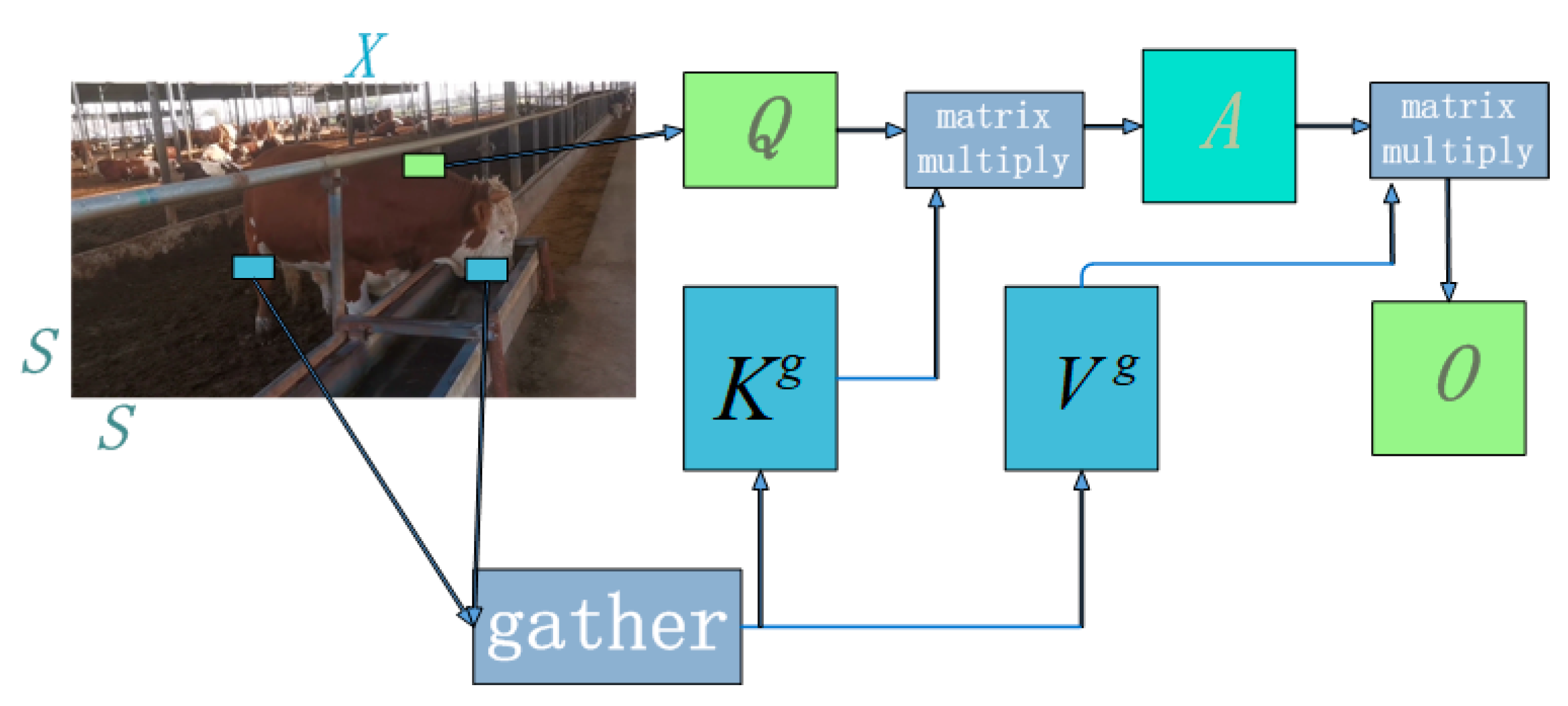 Animals 14 00466 g009