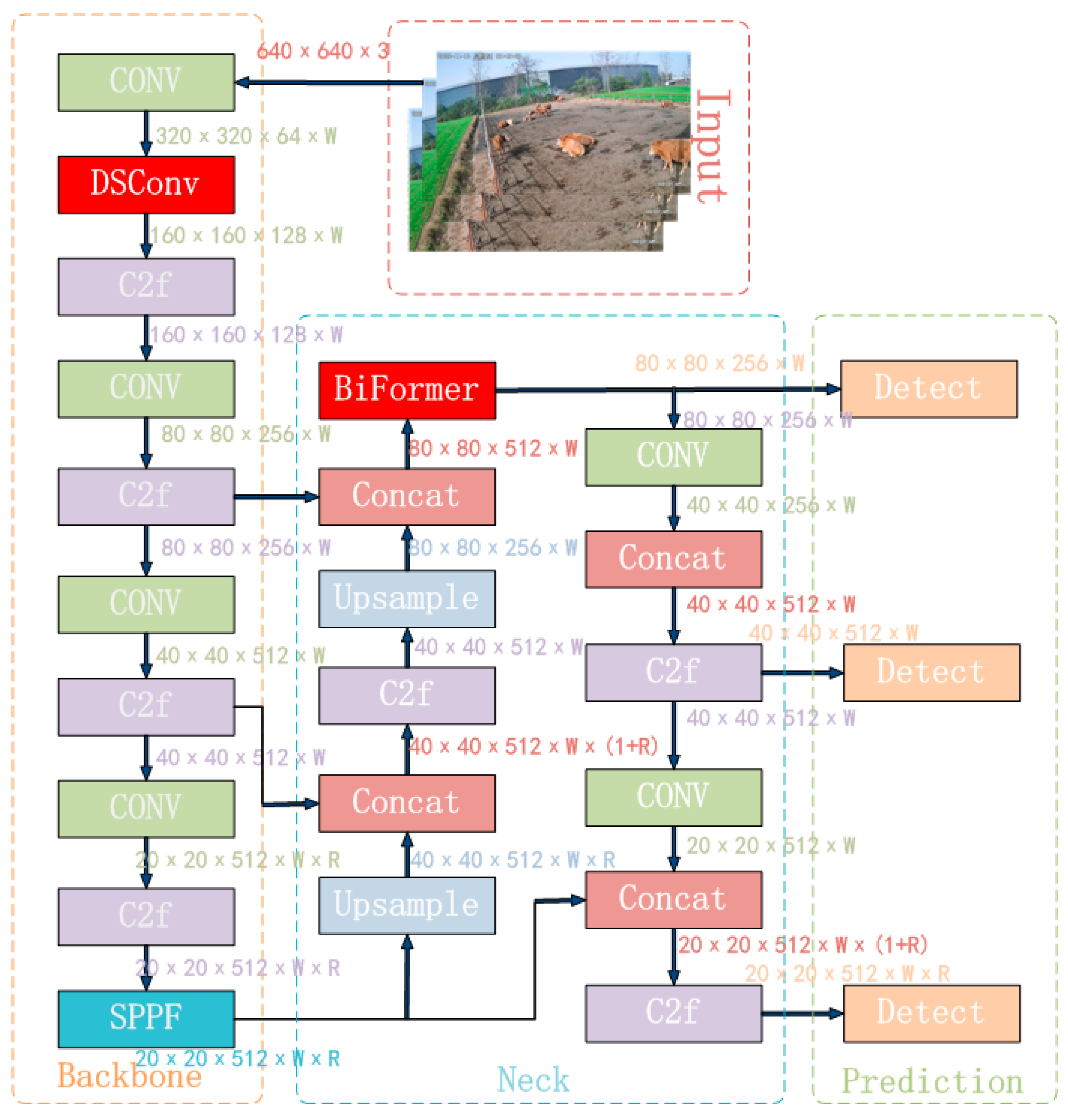 Animals 14 00466 g012