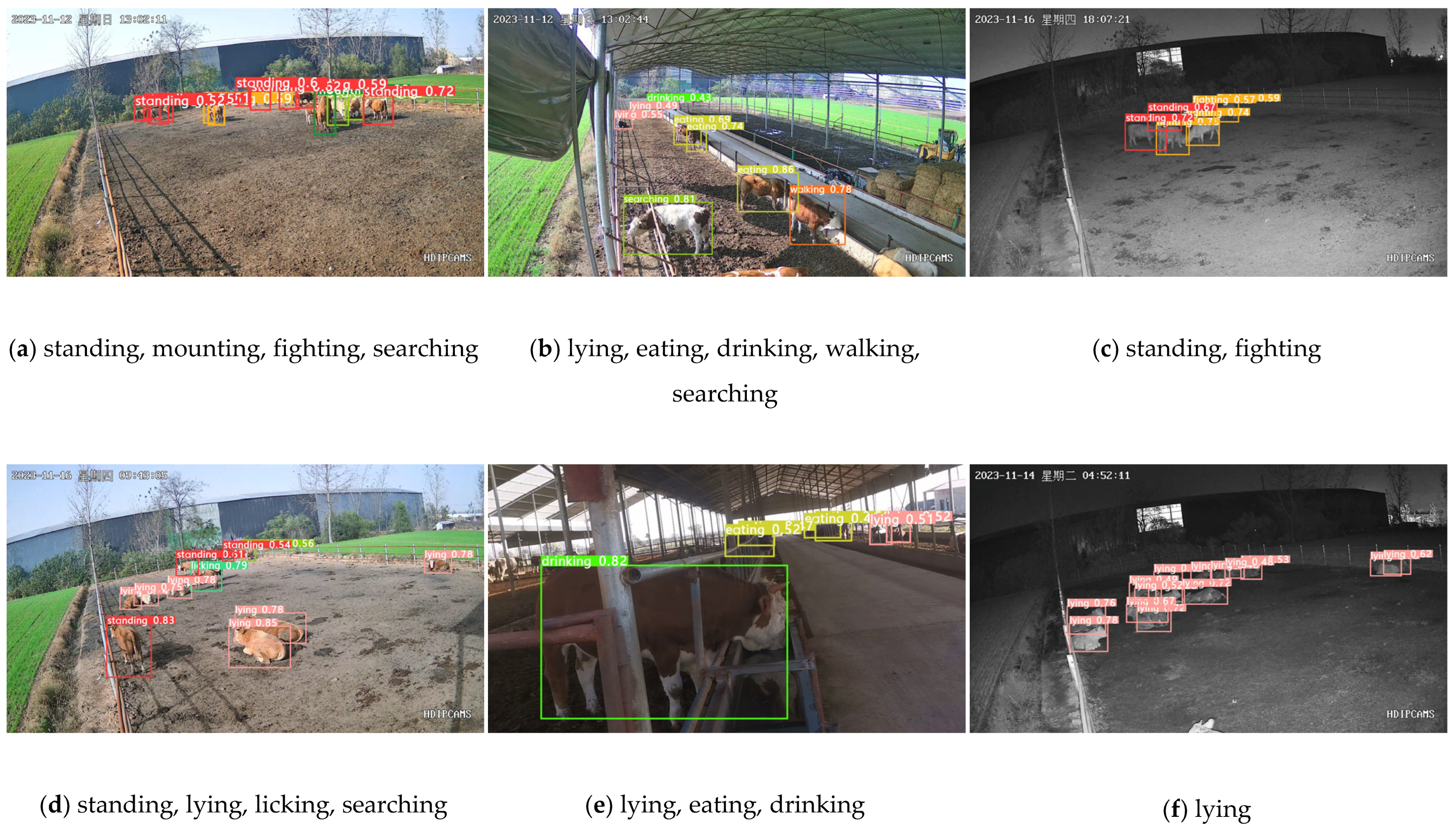 Animals 14 00466 g013