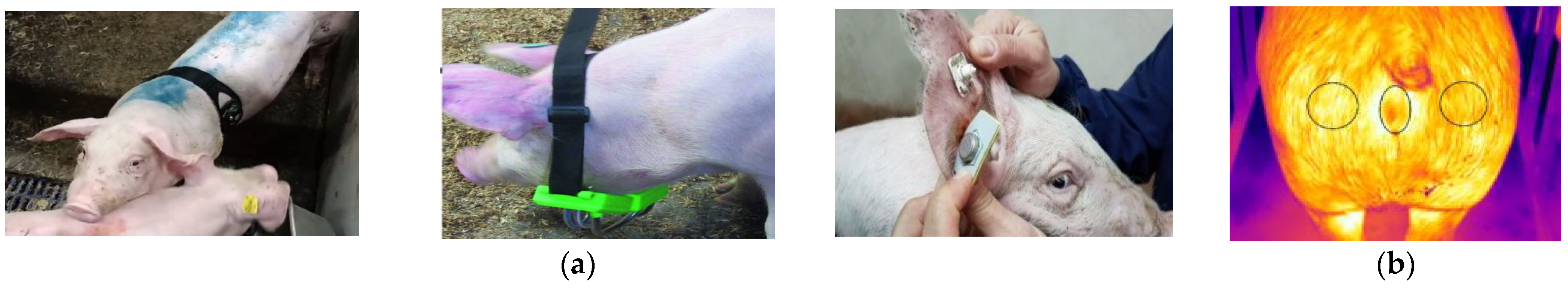 Animals 14 00471 g001