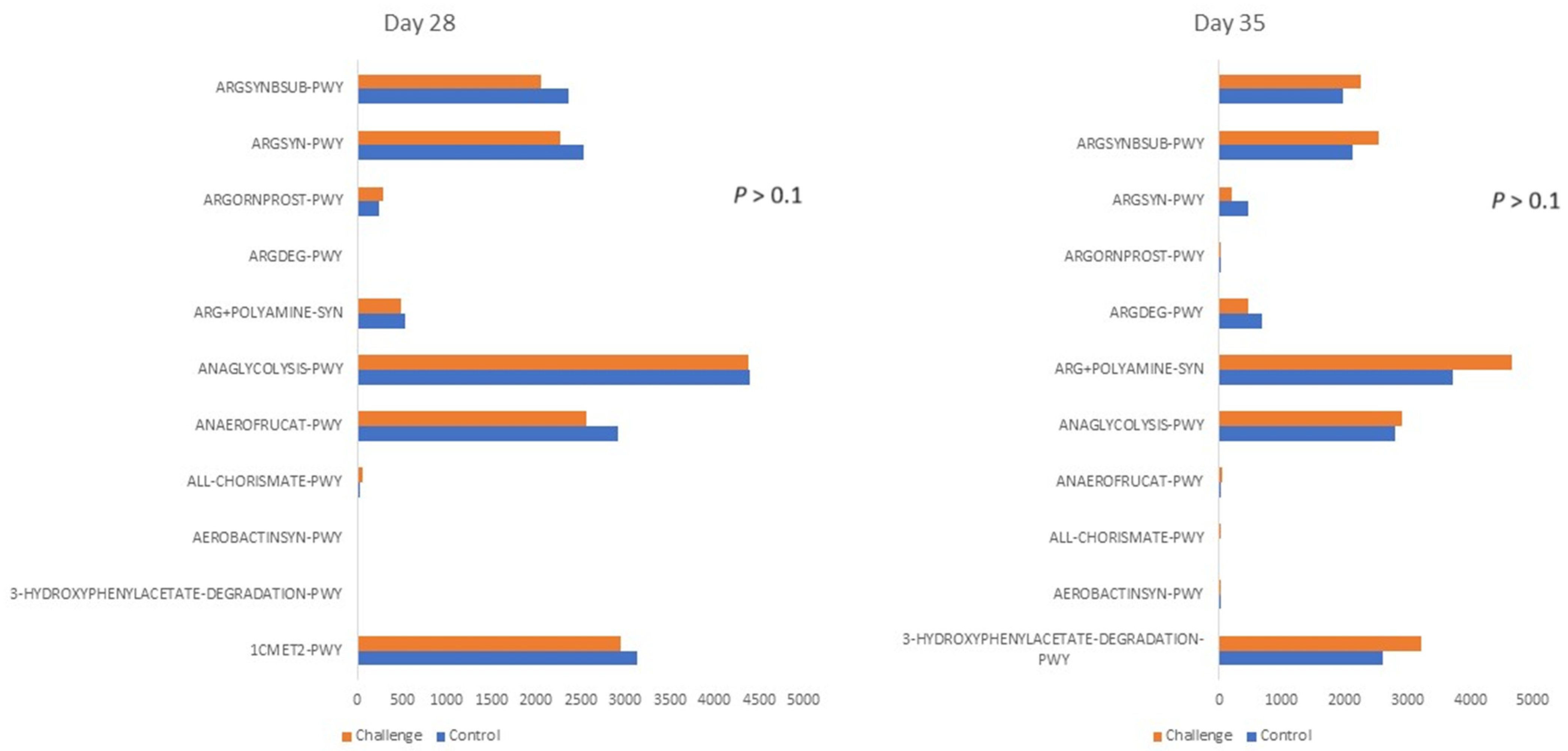 Animals 14 00473 g004