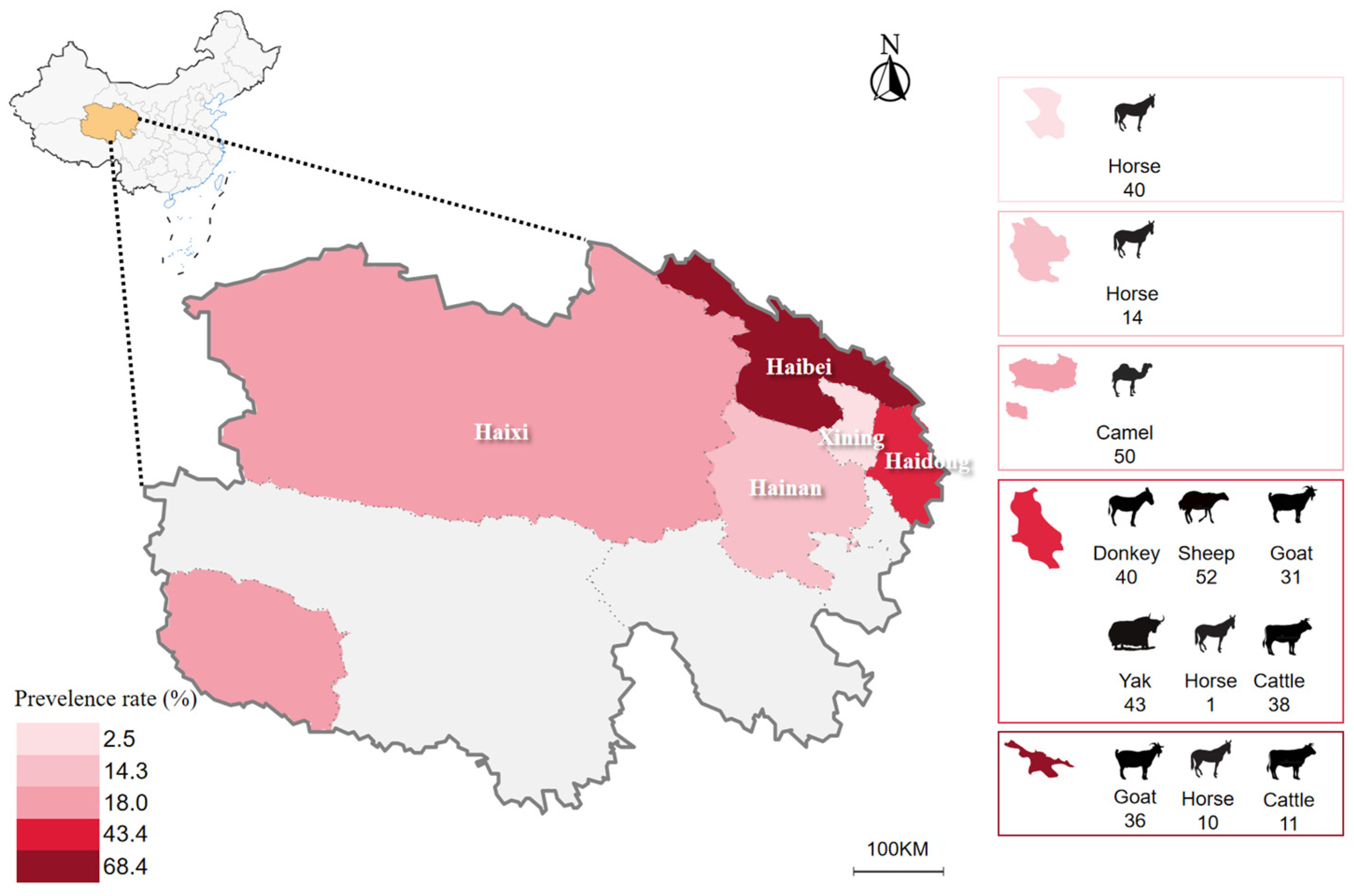 Animals 14 00476 g001