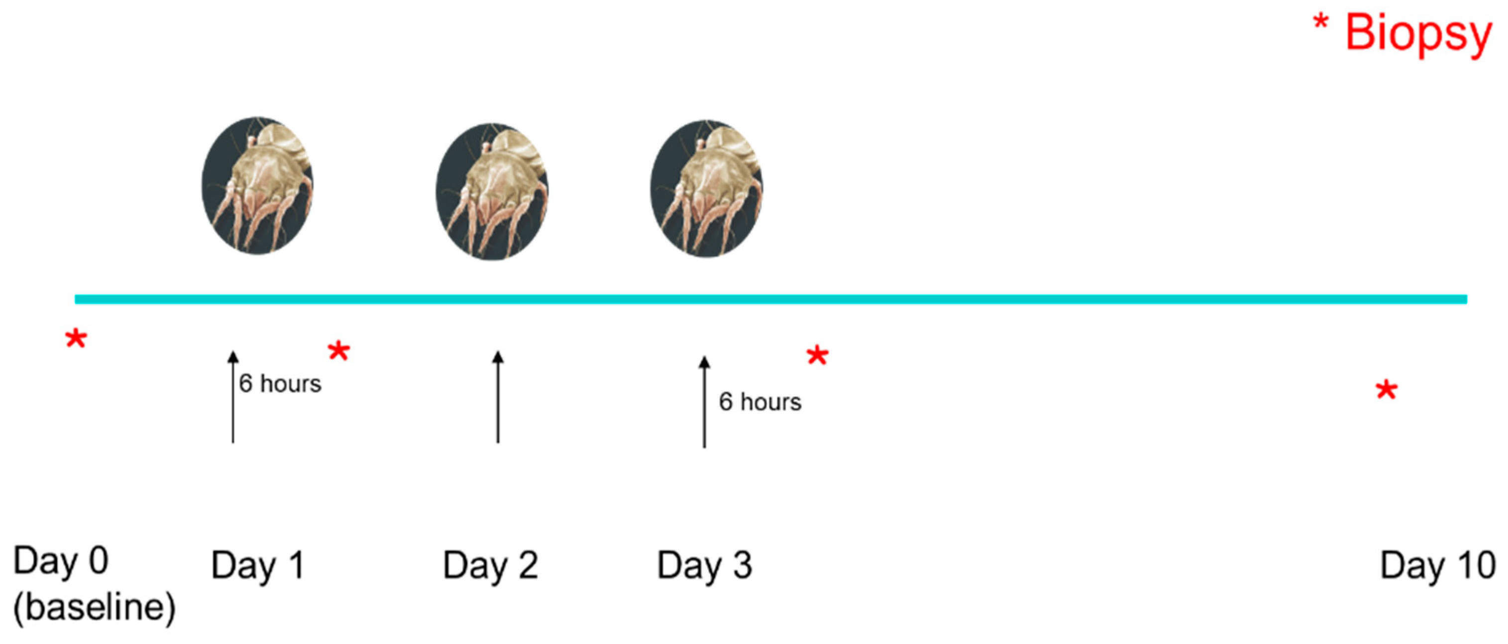 Animals 14 00478 g001