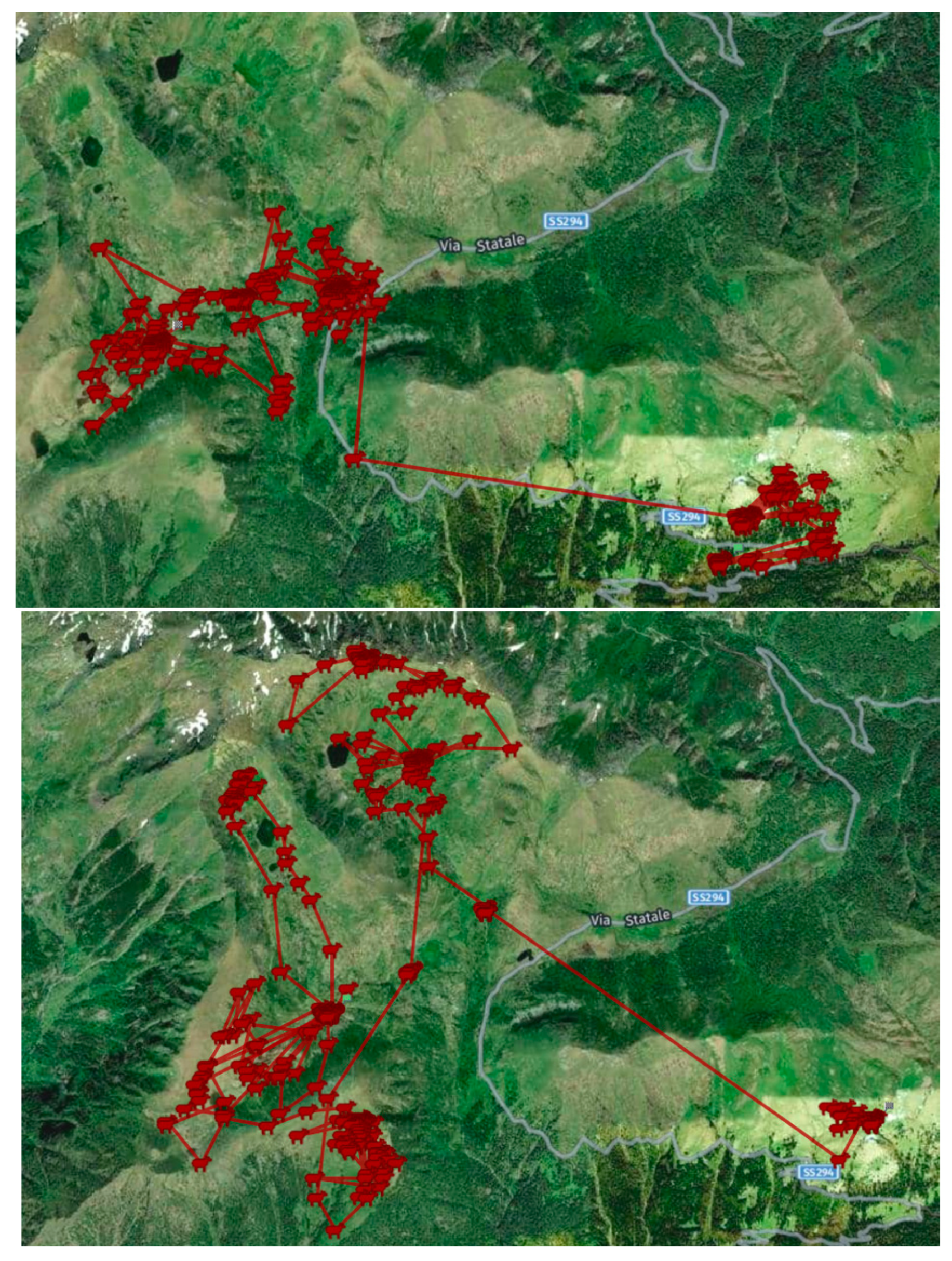 Animals 14 00488 g001