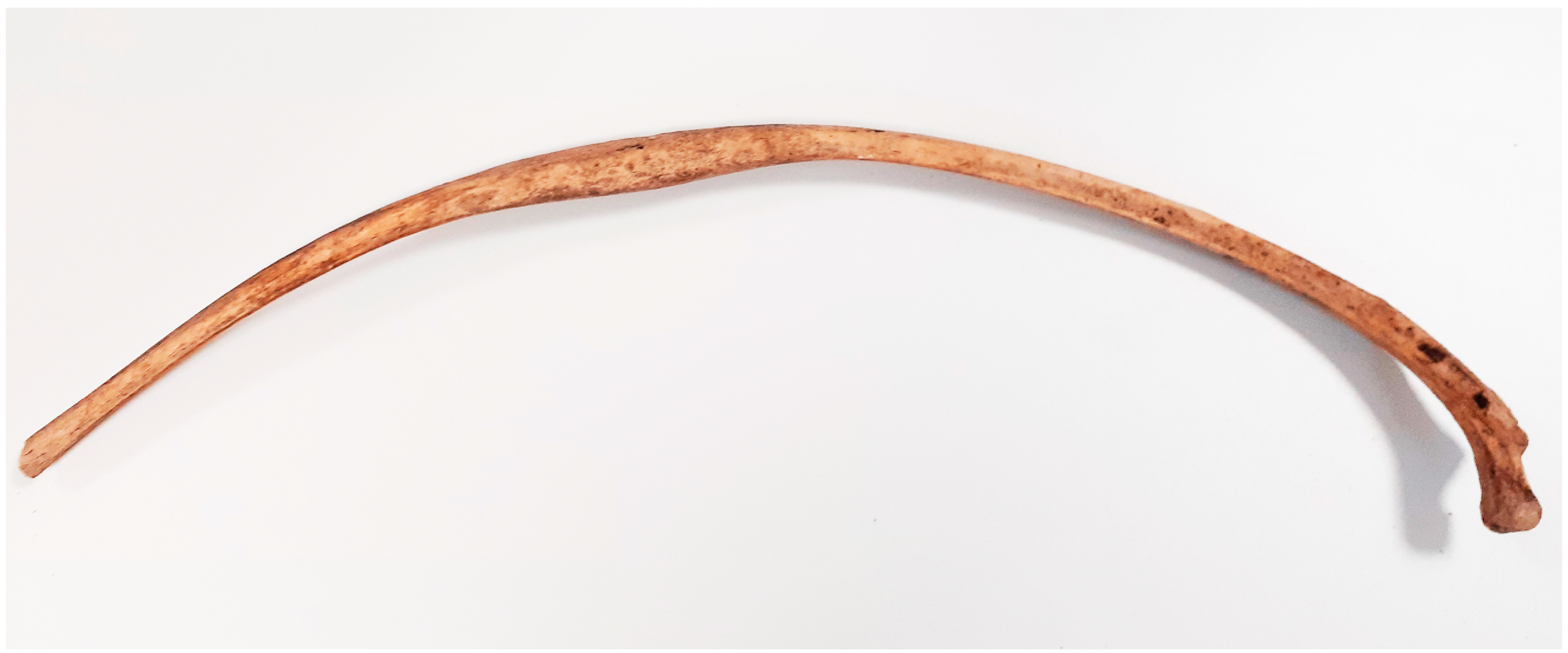 Animals 14 00490 g005