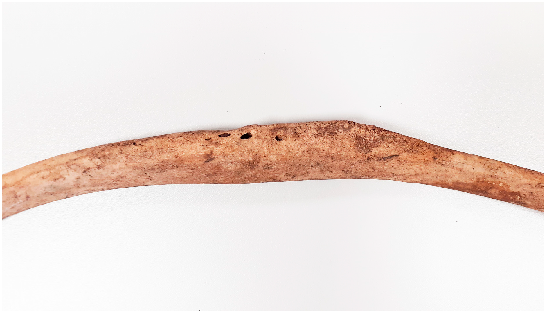 Animals 14 00490 g006