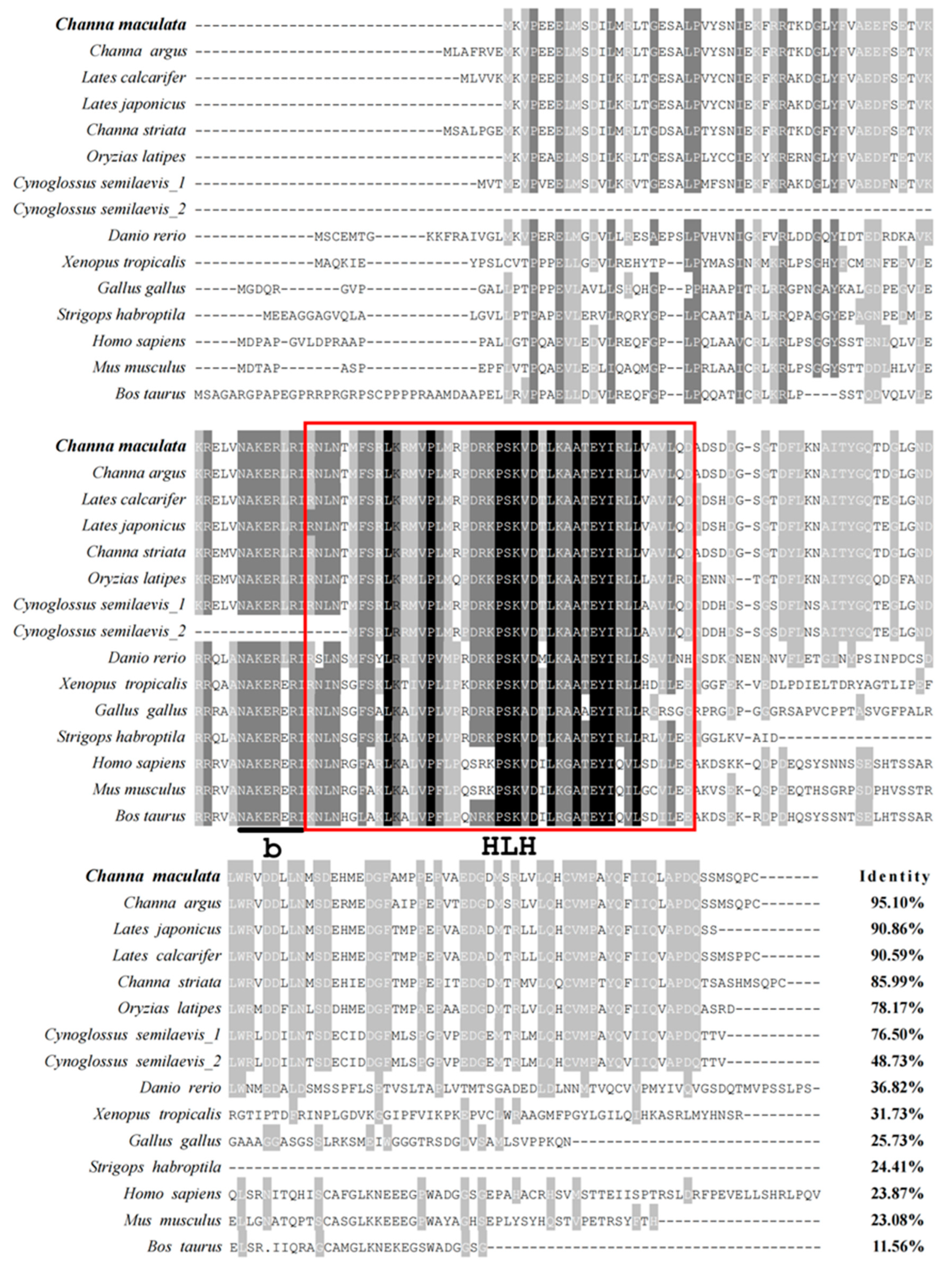 Animals 14 00491 g001 Animals 14 00491 g001