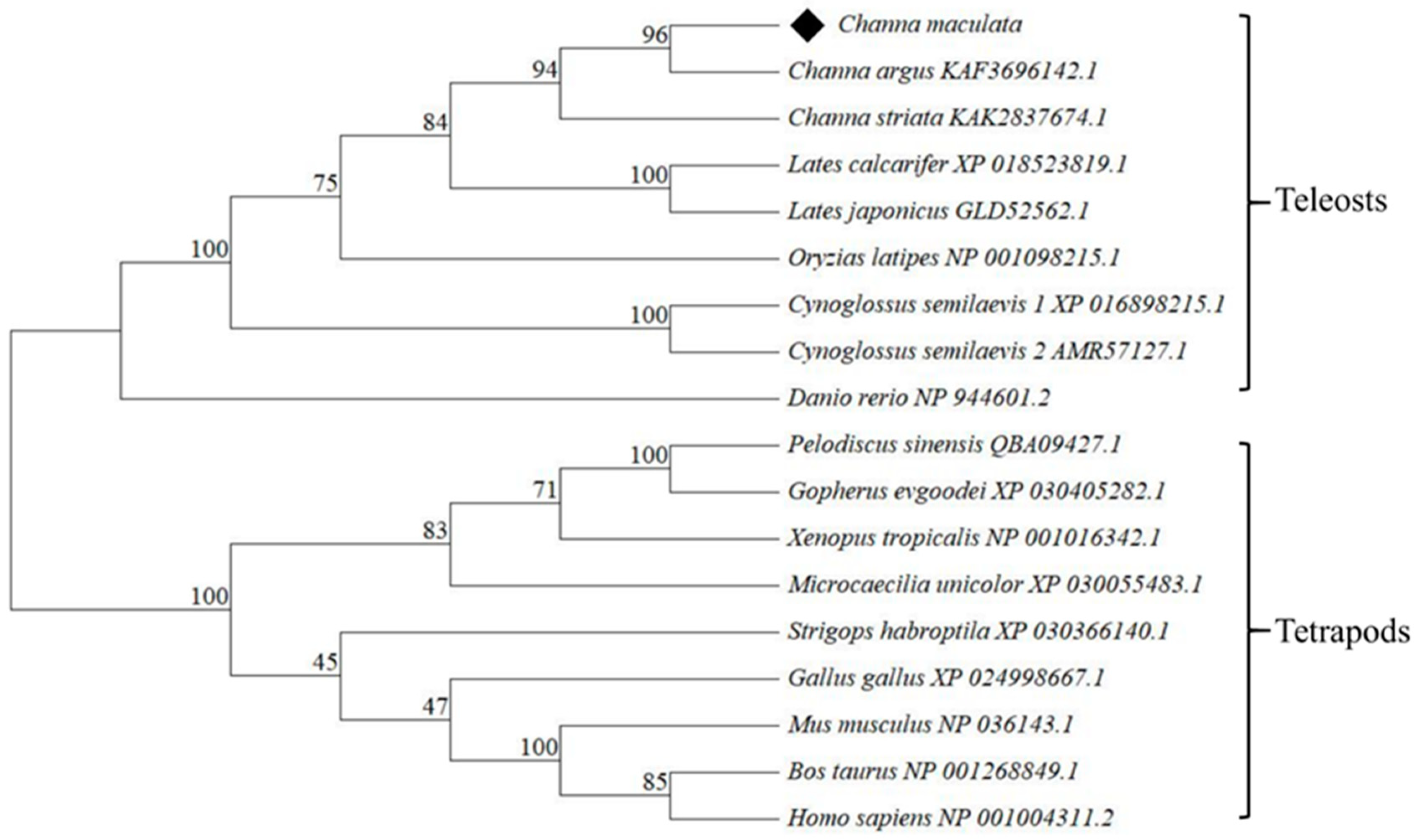 Animals 14 00491 g002 Animals 14 00491 g002
