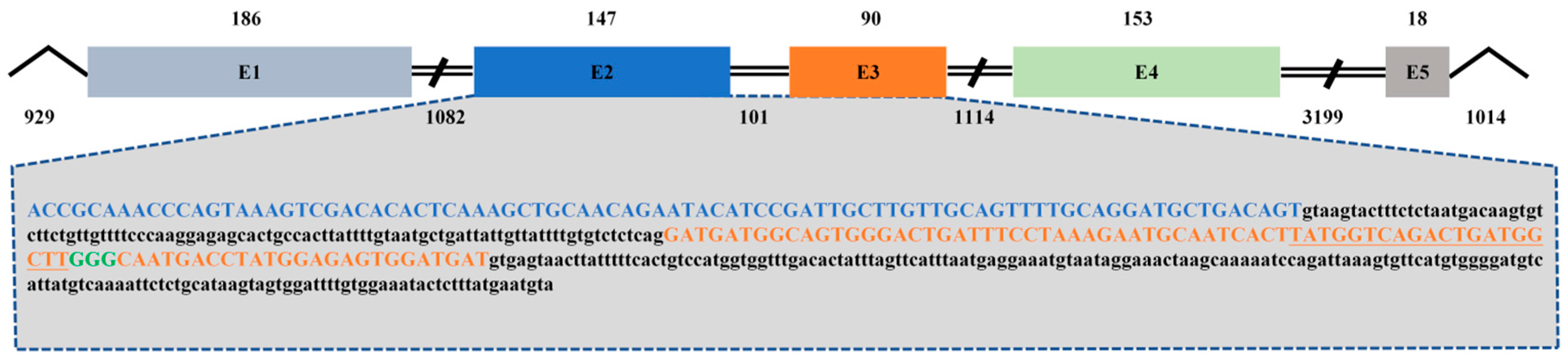 Animals 14 00491 g003 Animals 14 00491 g003