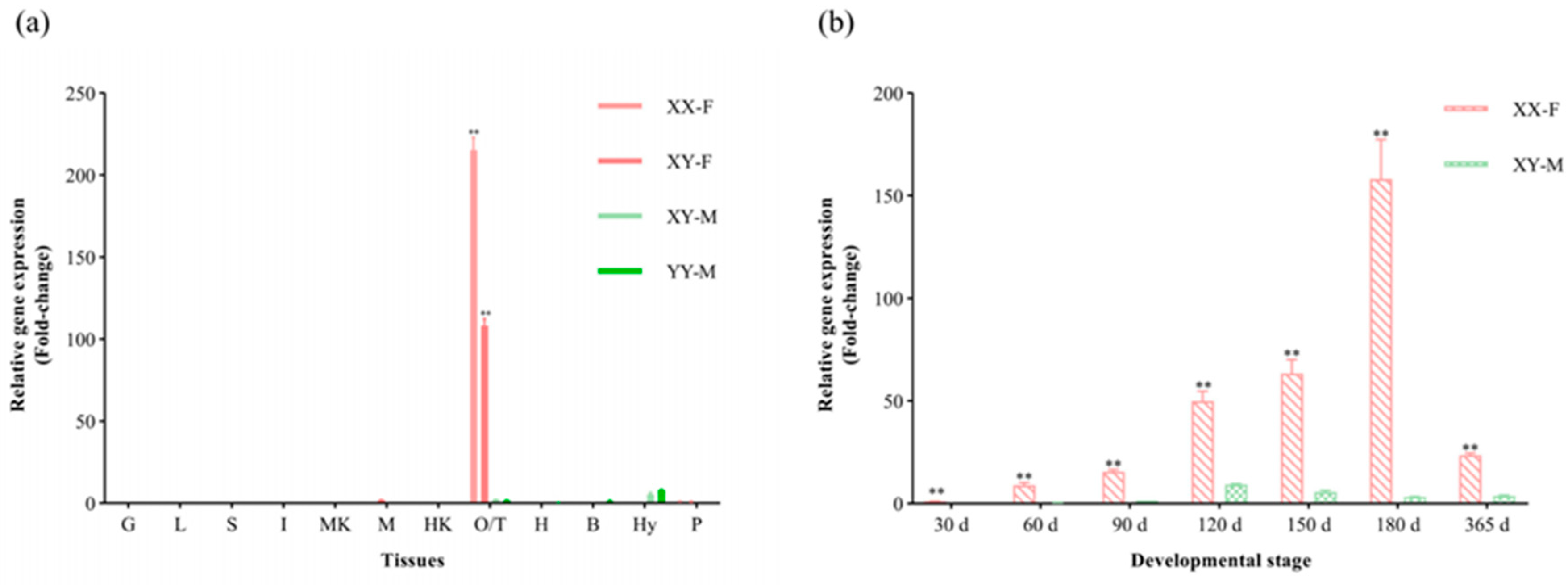 Animals 14 00491 g004 Animals 14 00491 g004
