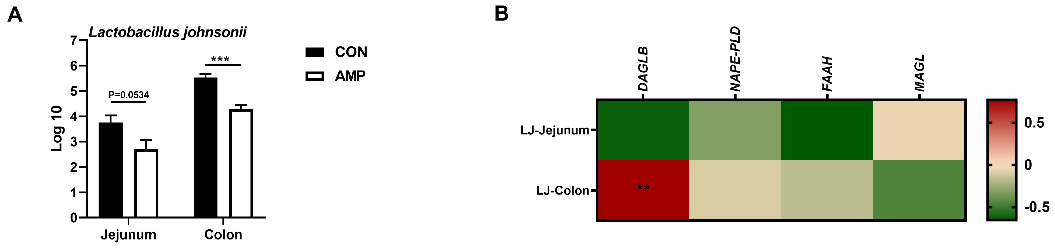 Animals 14 00493 g003