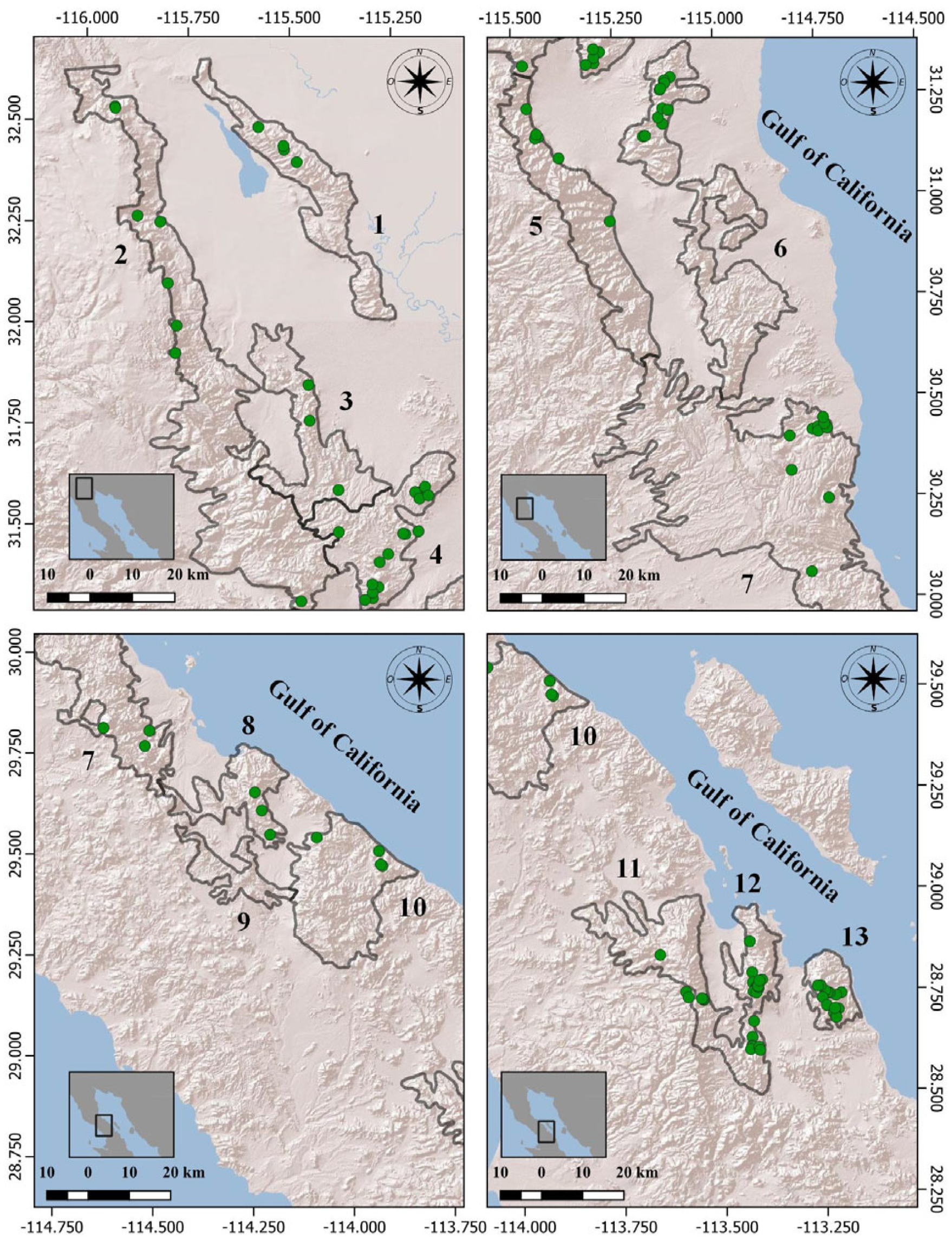 Animals 14 00504 g002