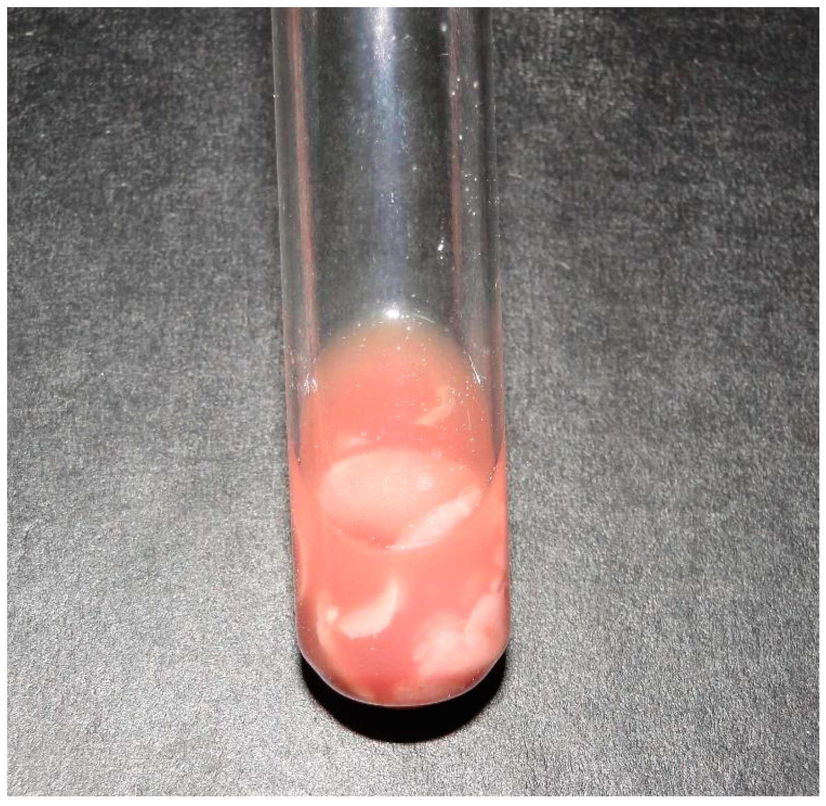 Animals 14 00505 g002