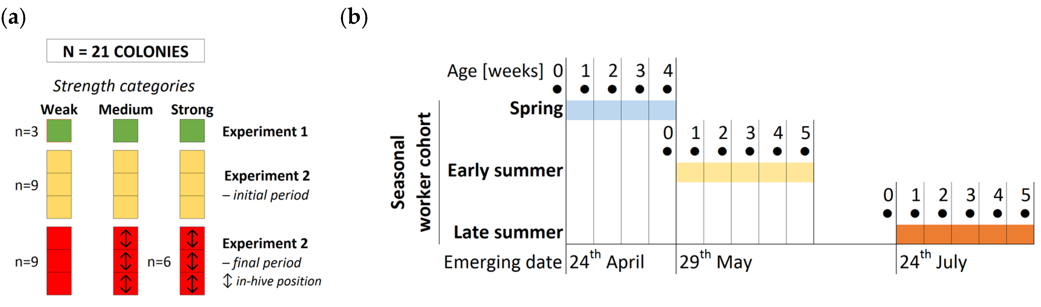 Animals 14 00512 g001a