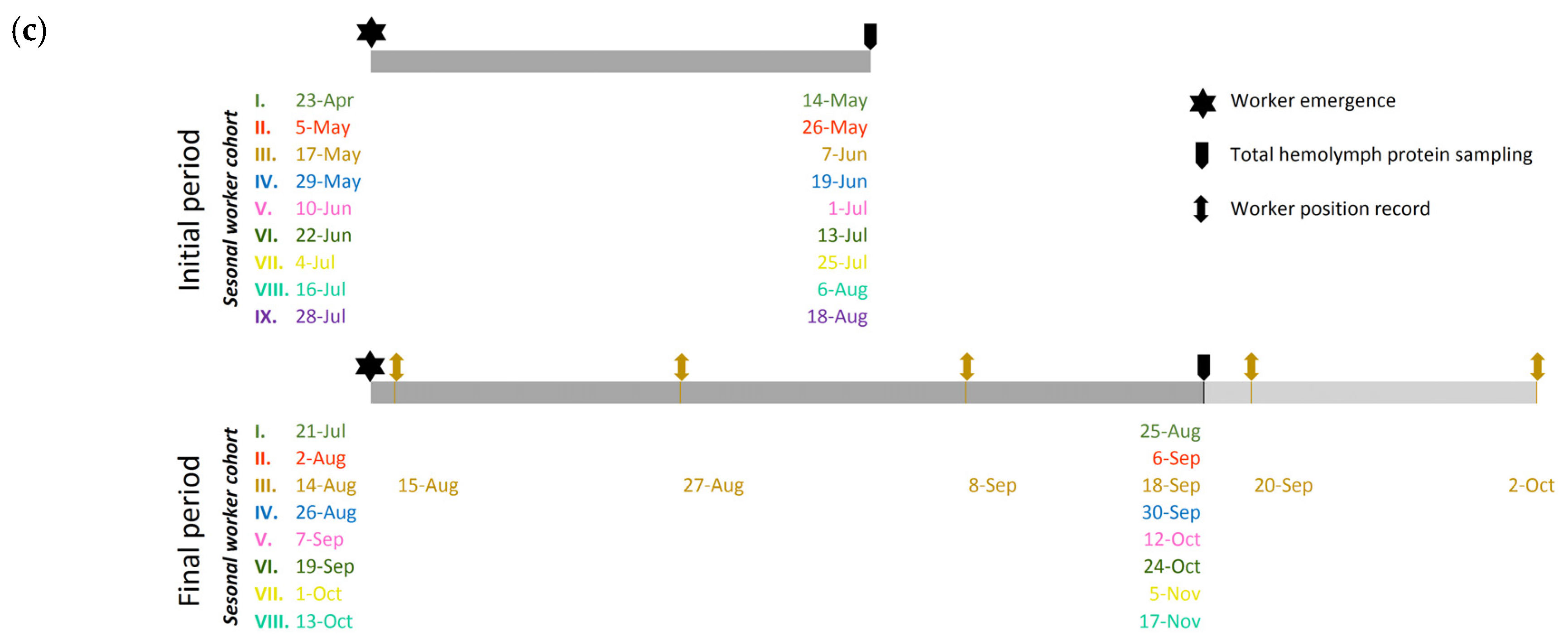 Animals 14 00512 g001b