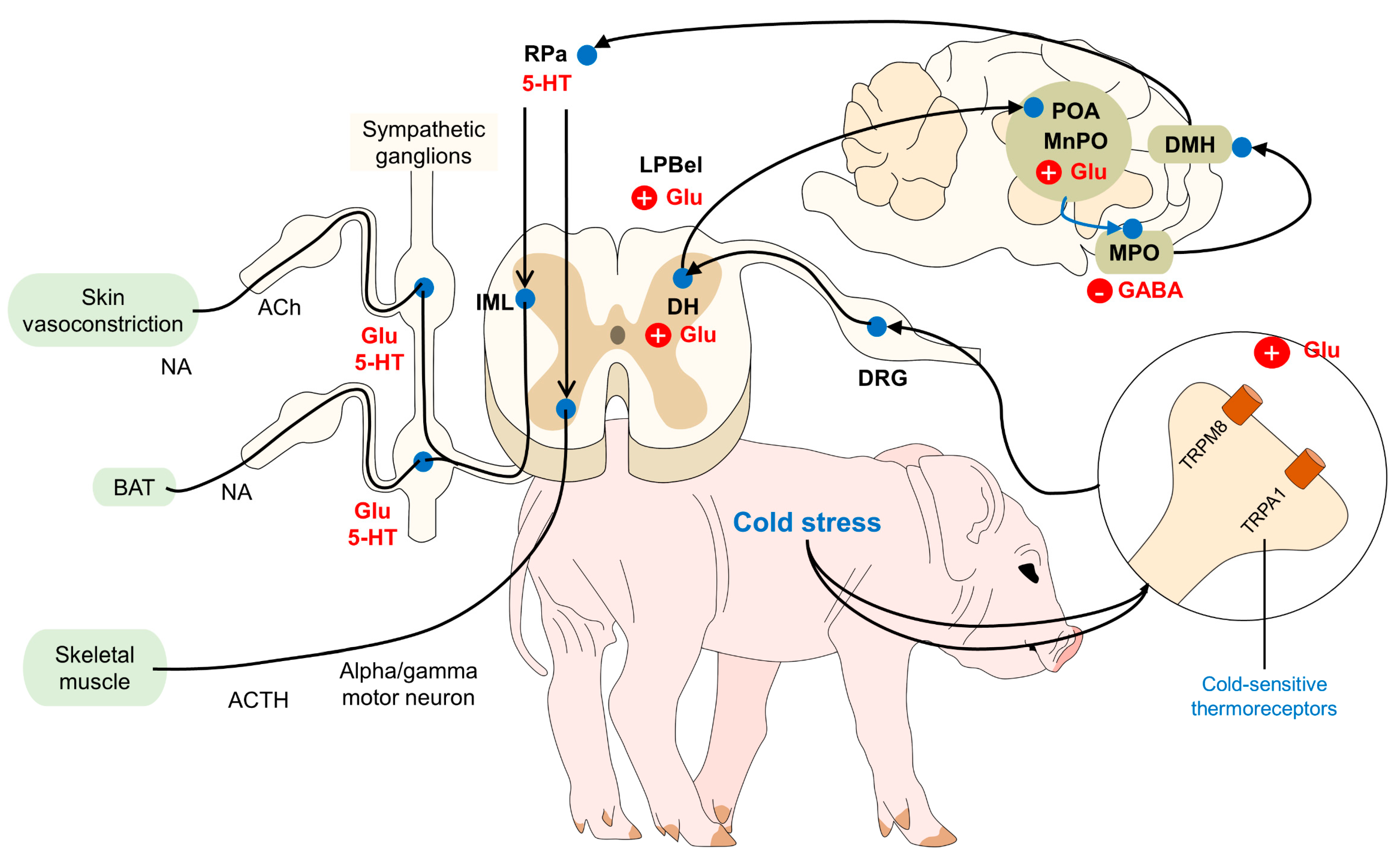 Animals 14 00513 g001 Animals 14 00513 g001