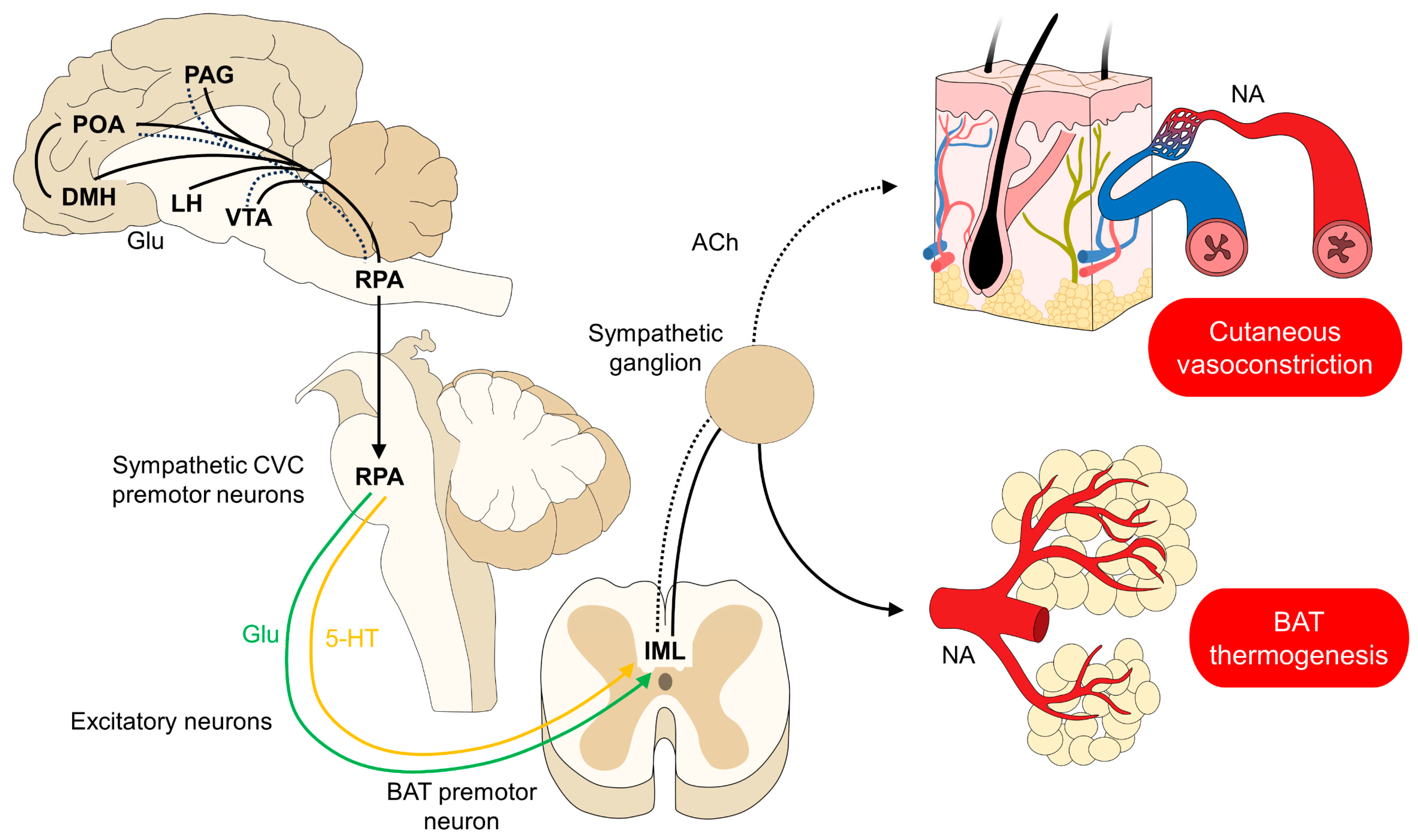 Animals 14 00513 g002 Animals 14 00513 g002