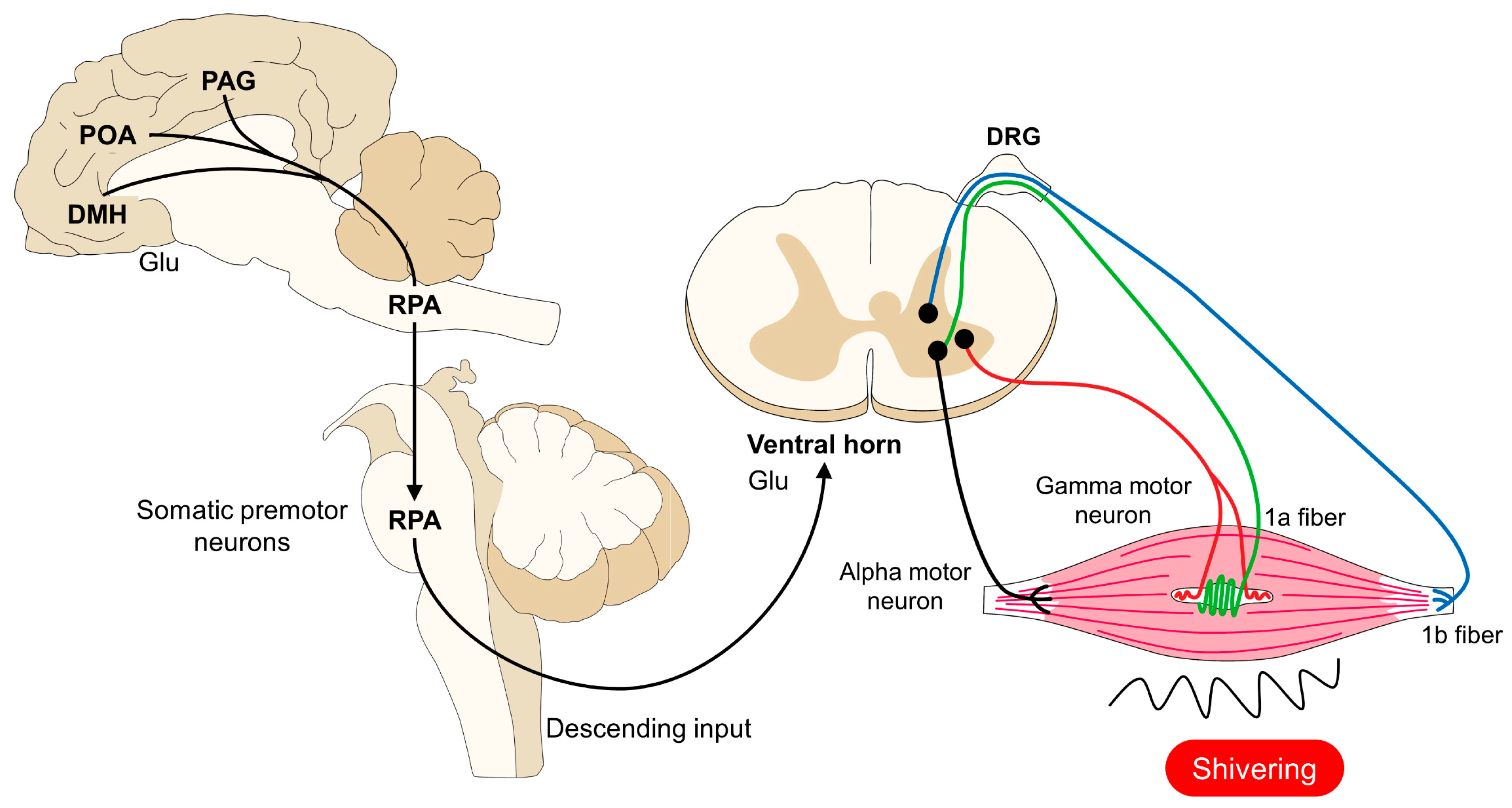 Animals 14 00513 g006 Animals 14 00513 g006