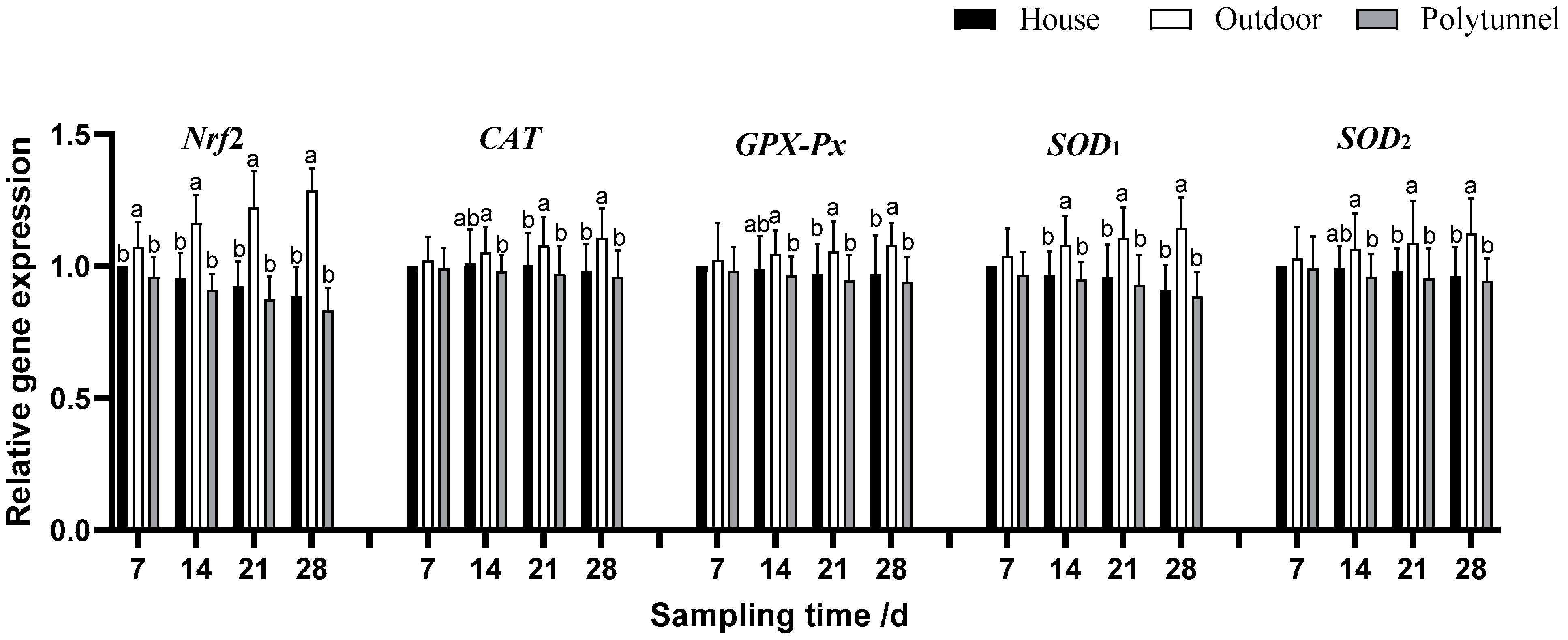 Animals 14 00518 g002 Animals 14 00518 g002