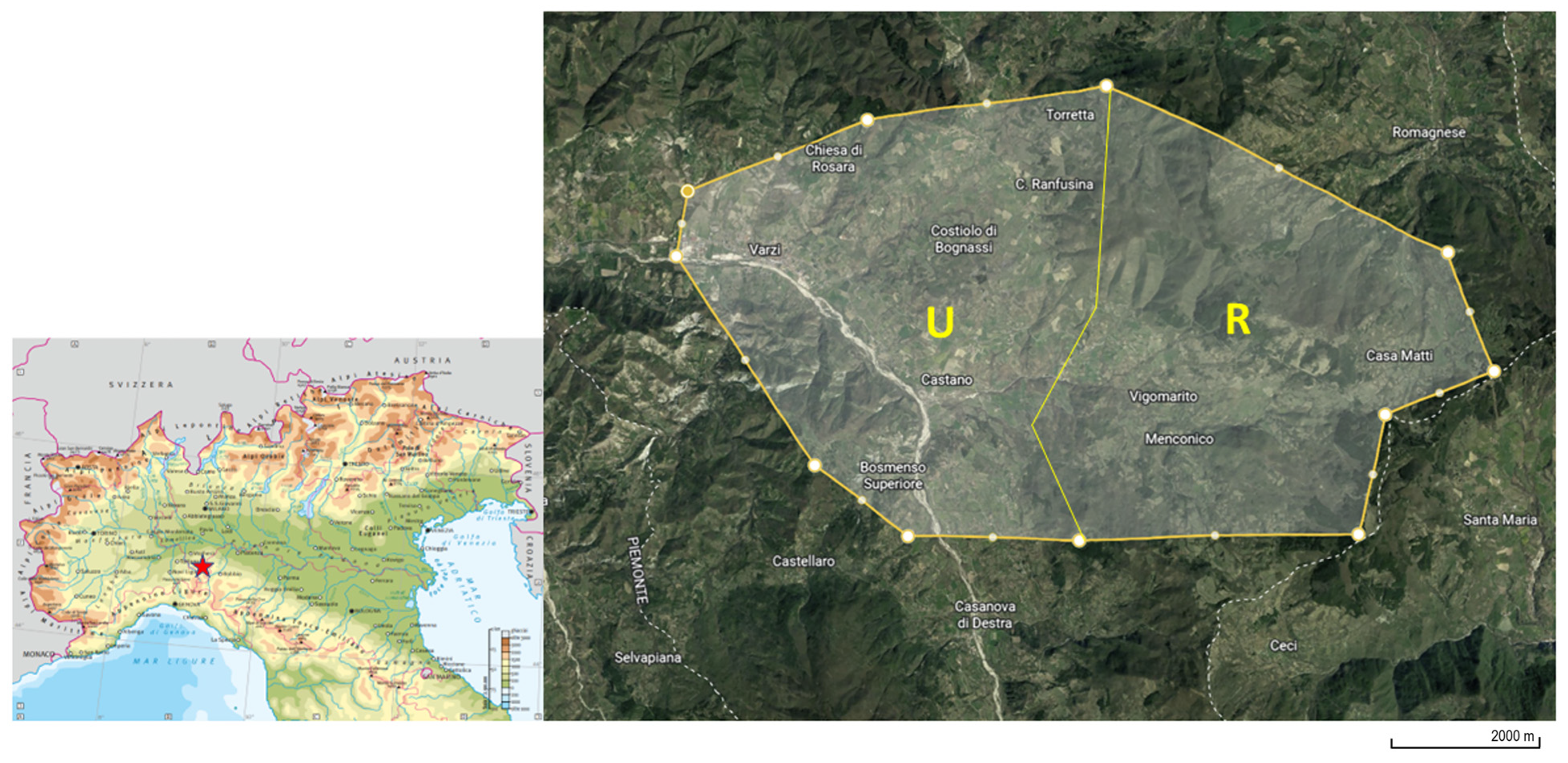 Animals 14 00529 g001