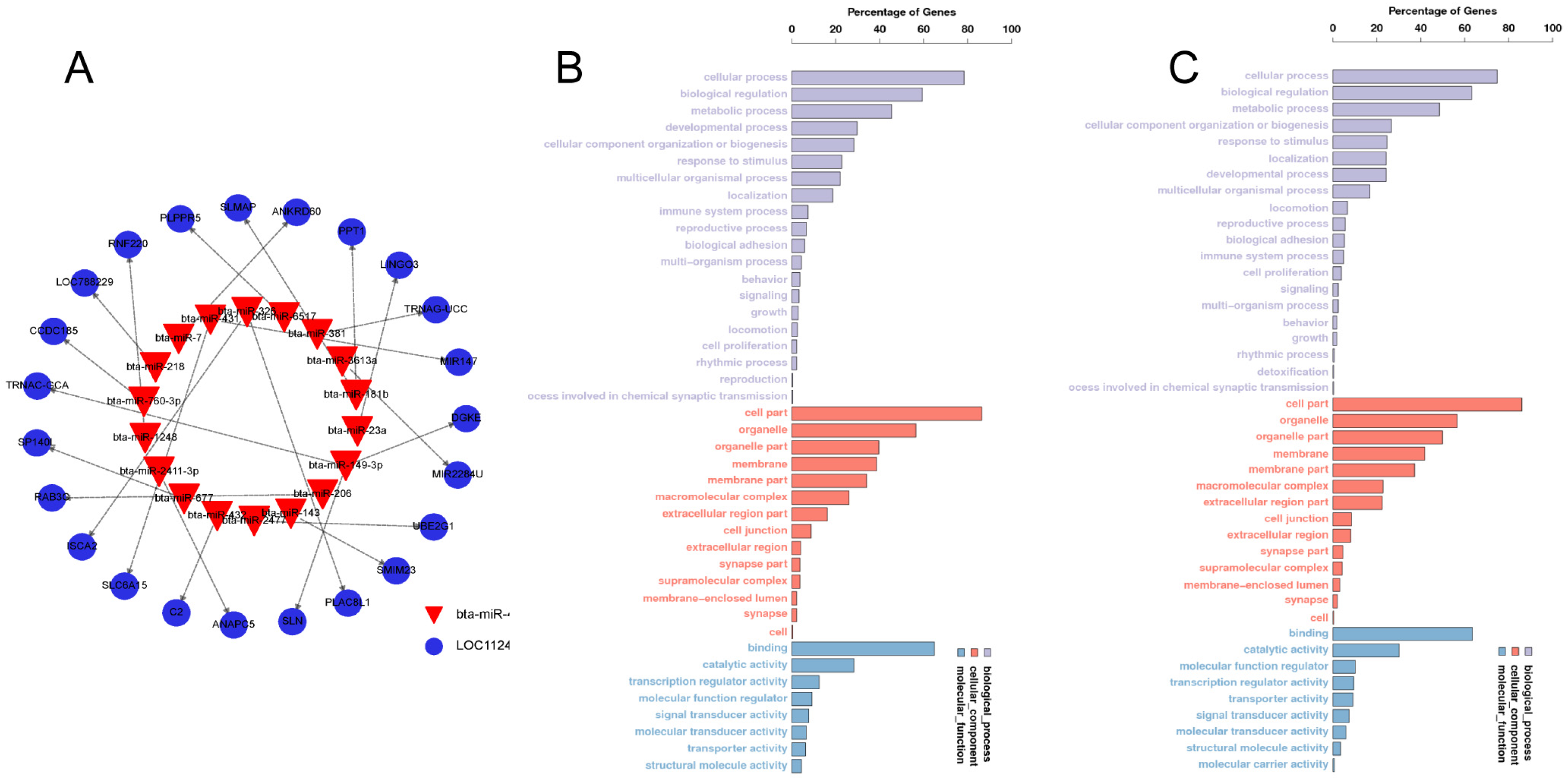 Animals 14 00533 g002
