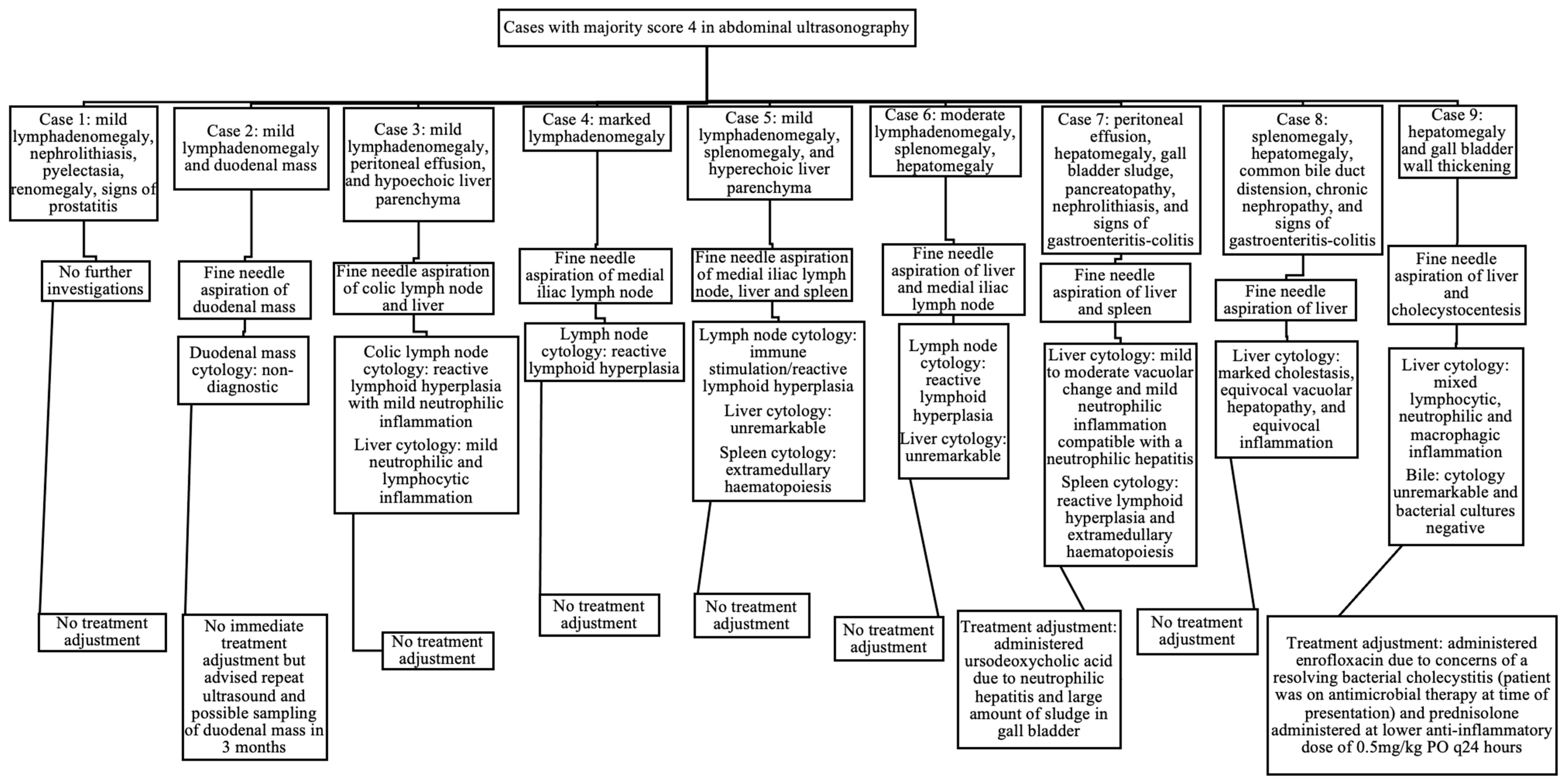 Animals 14 00534 g002