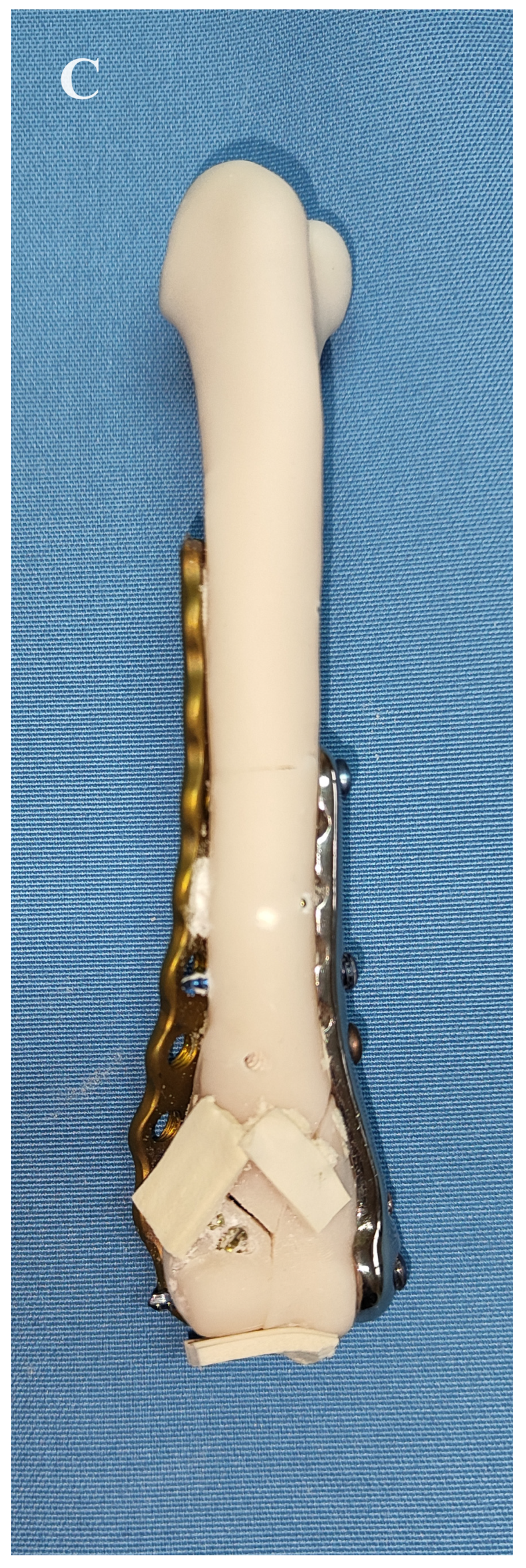 Animals 14 00537 g003c