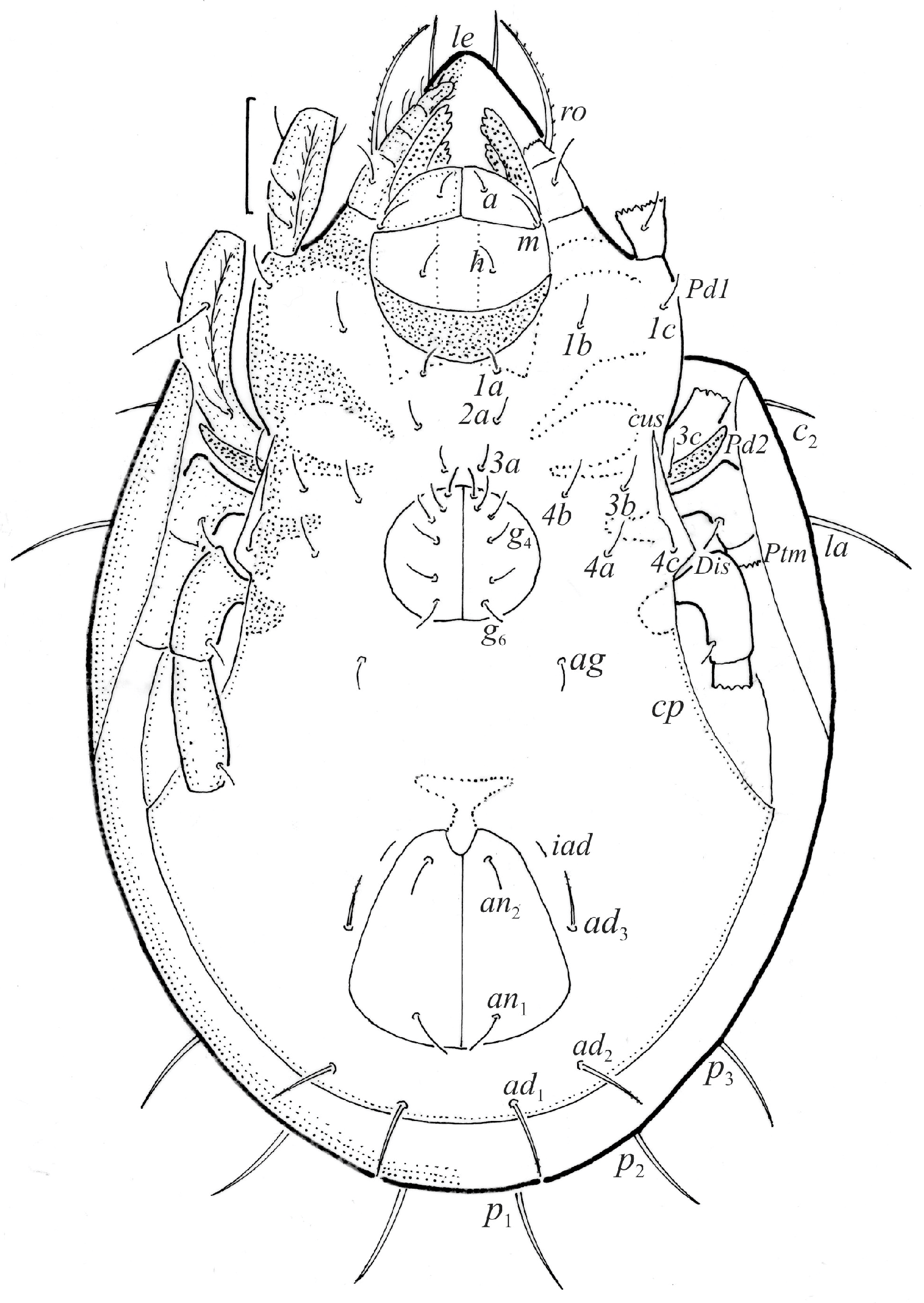 Animals 14 00538 g002 Animals 14 00538 g002