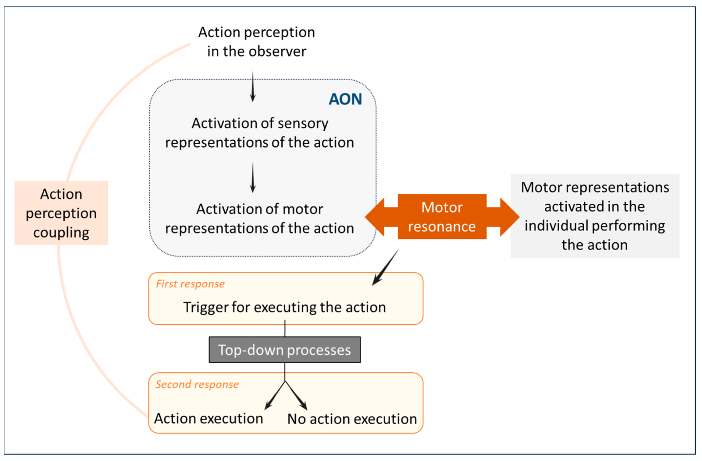 Animals 14 00548 g001 Animals 14 00548 g001