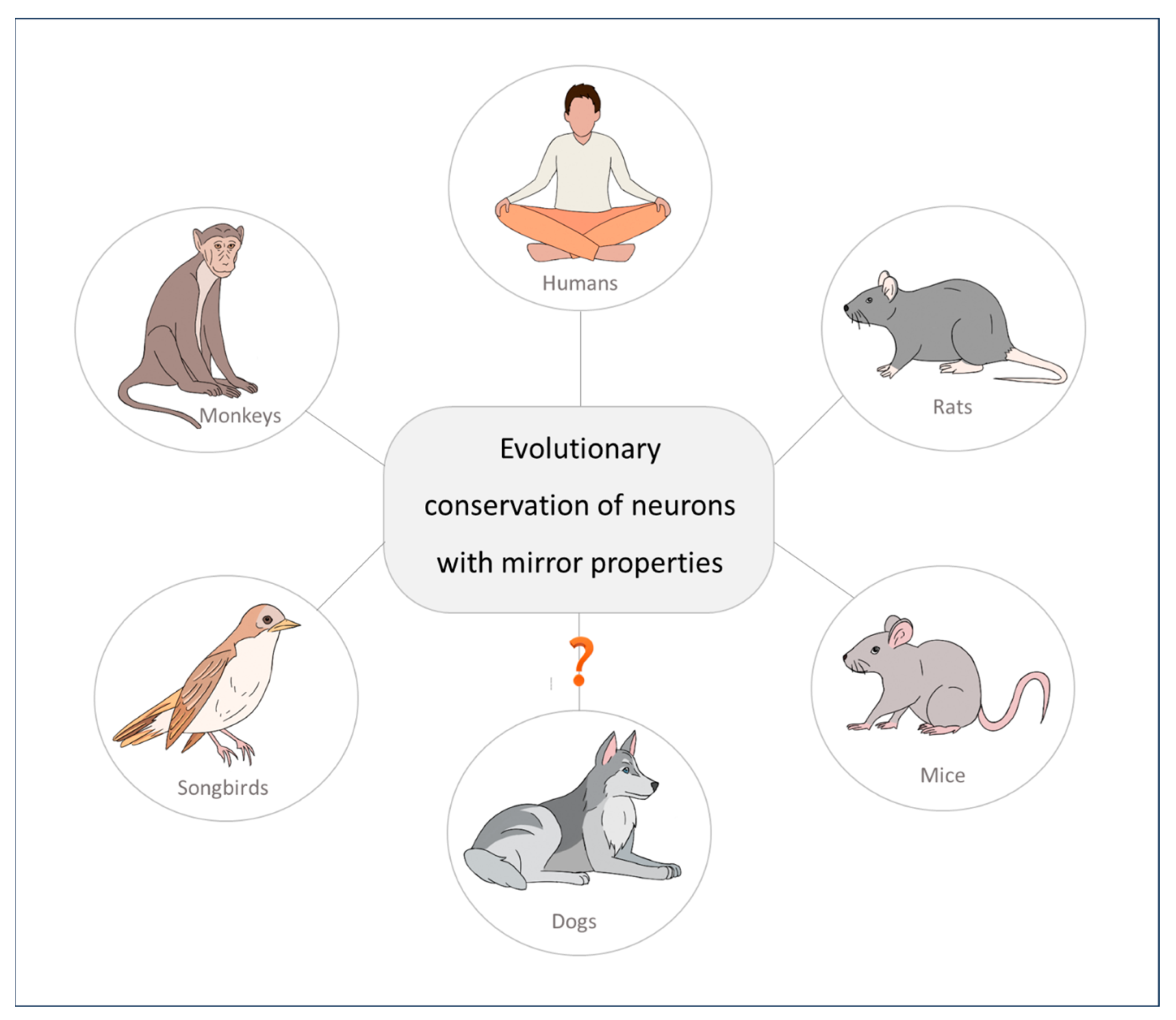 Animals 14 00548 g003 Animals 14 00548 g003