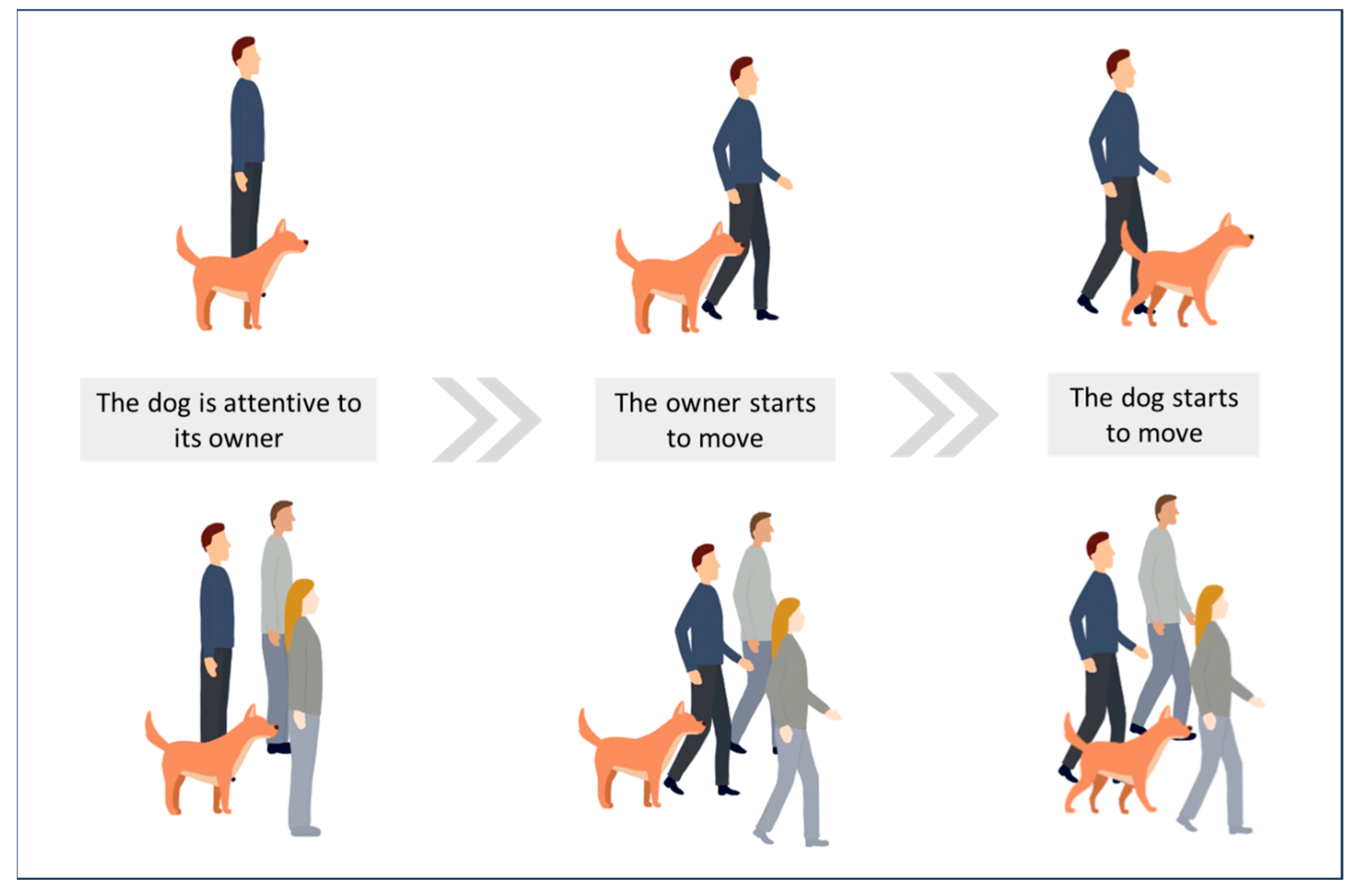 Animals 14 00548 g004 Animals 14 00548 g004