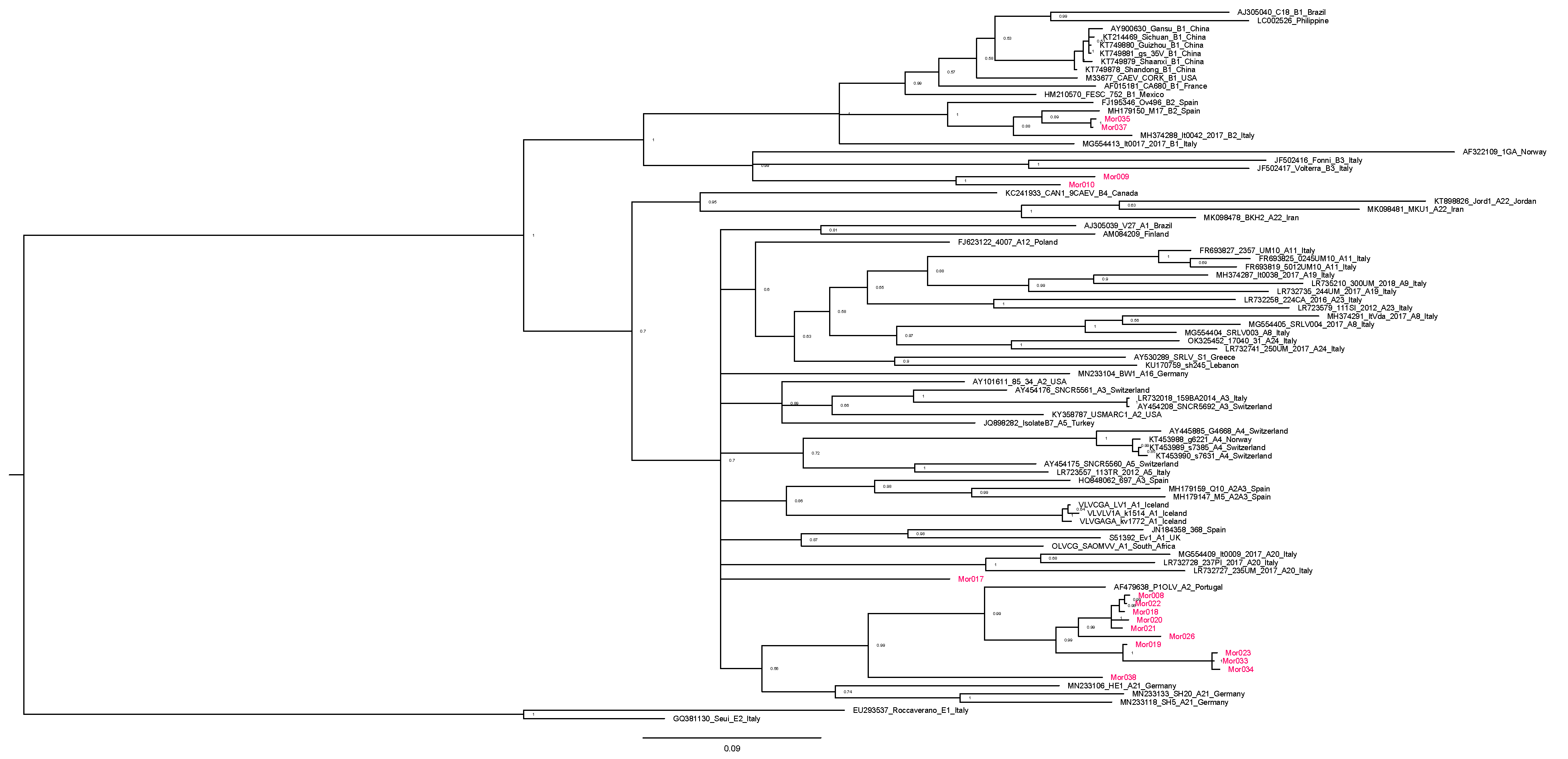 Animals 14 00550 g003