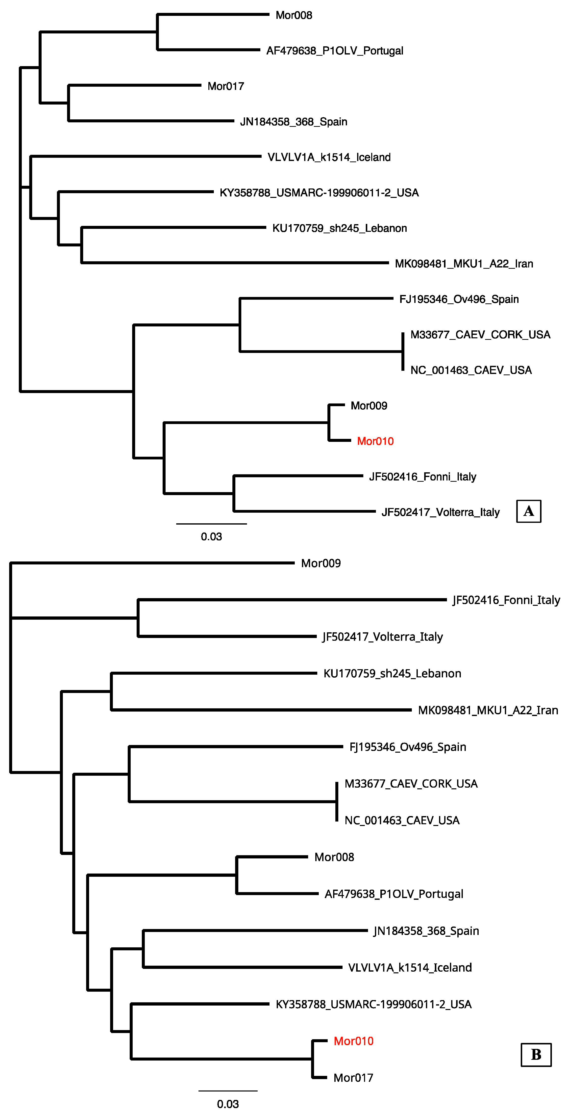 Animals 14 00550 g005