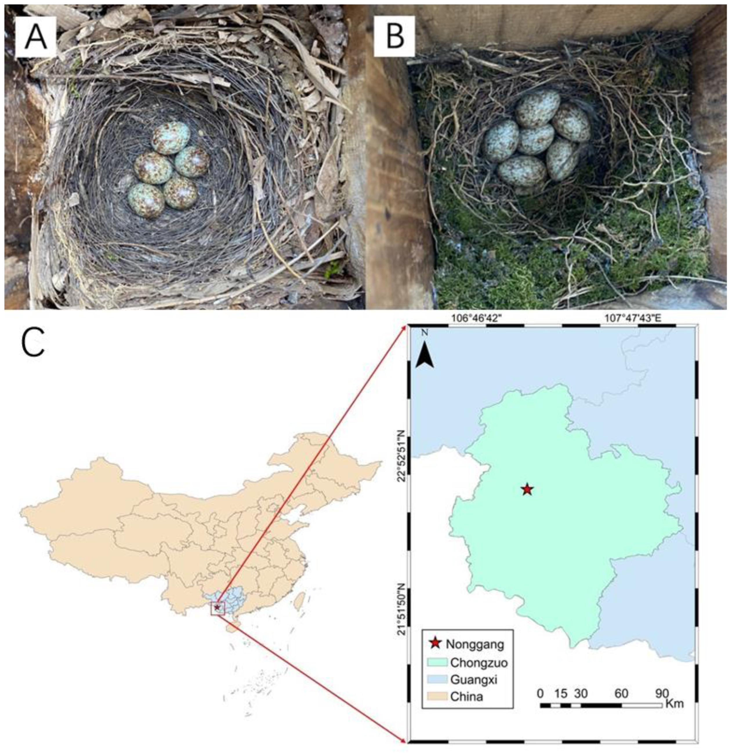 Animals 14 00554 g001 Animals 14 00554 g001