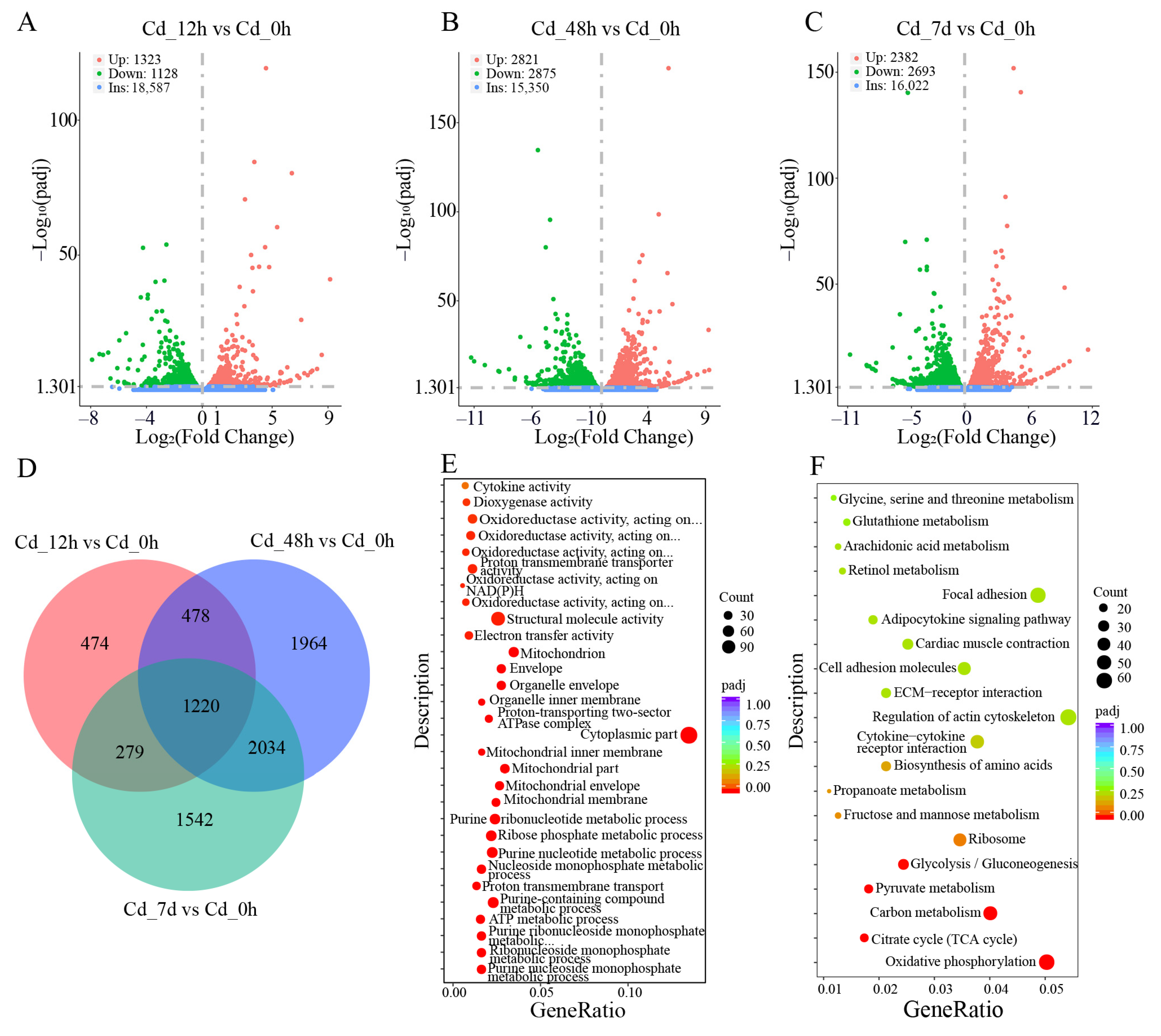 Animals 14 00561 g002