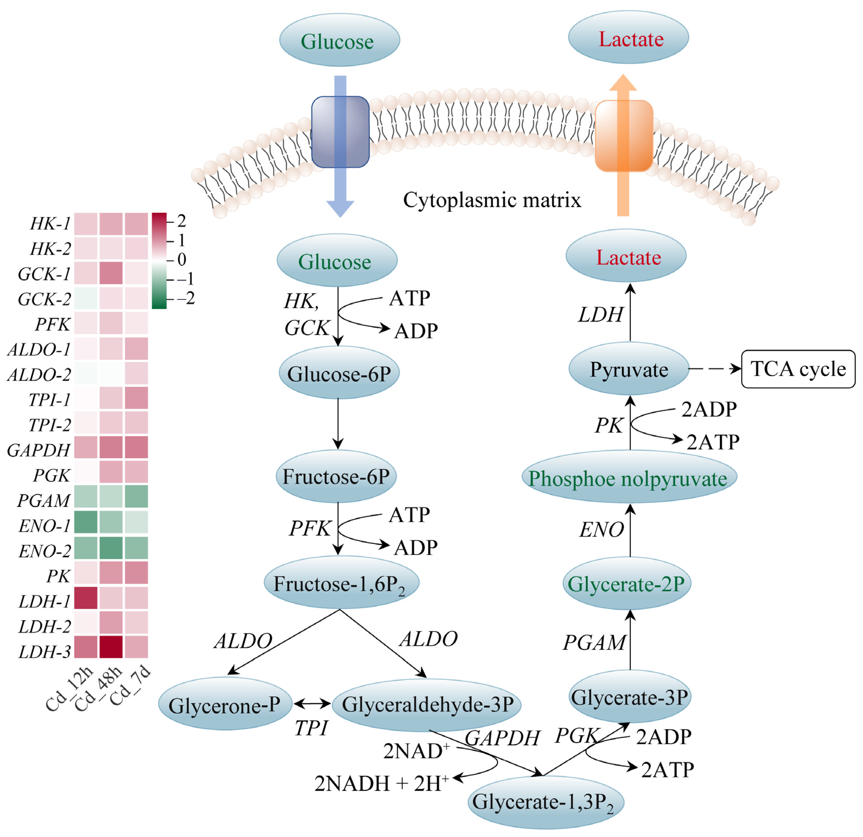 Animals 14 00561 g005